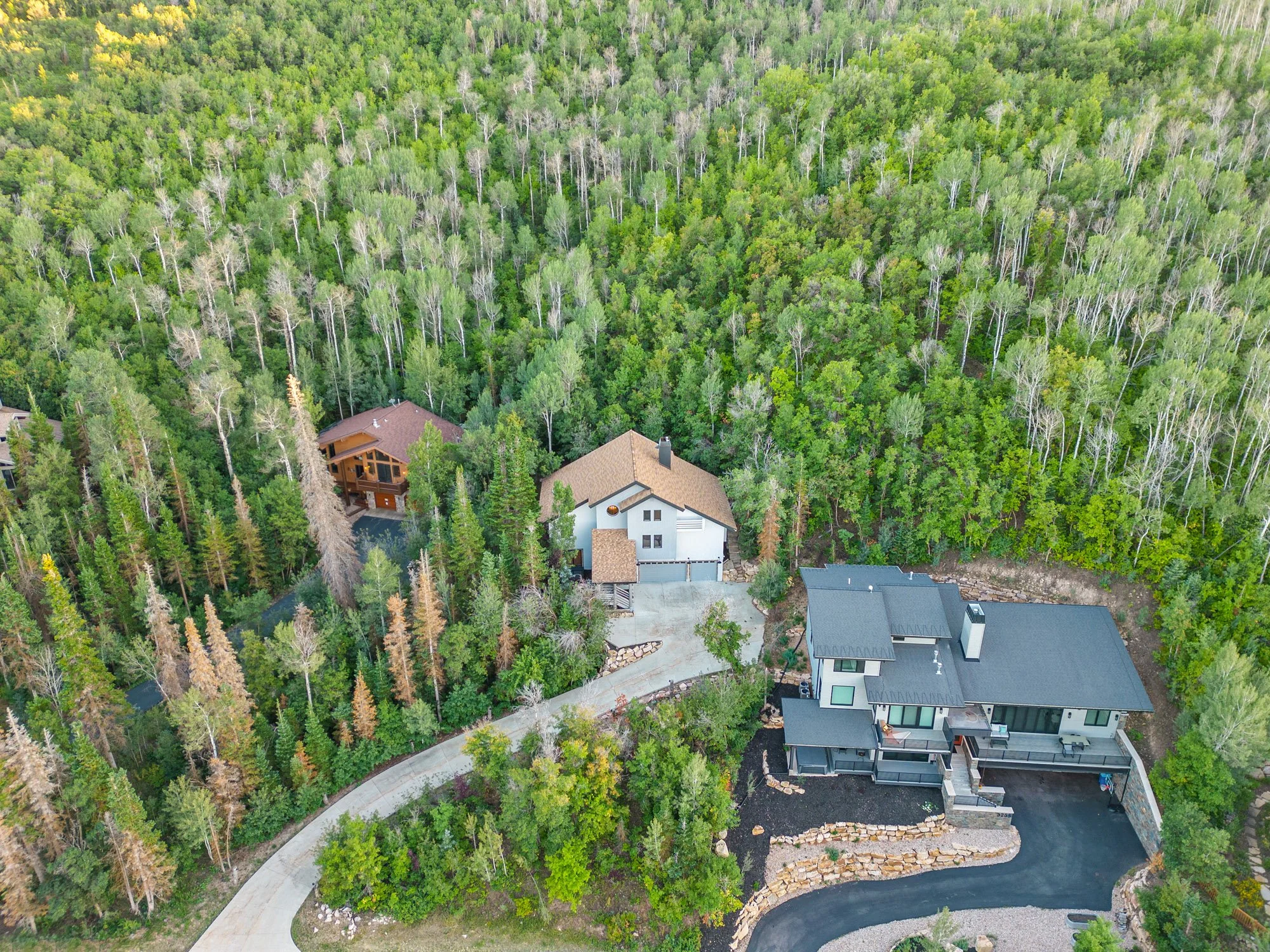 46 - 3253 Big Spruce Way.jpg