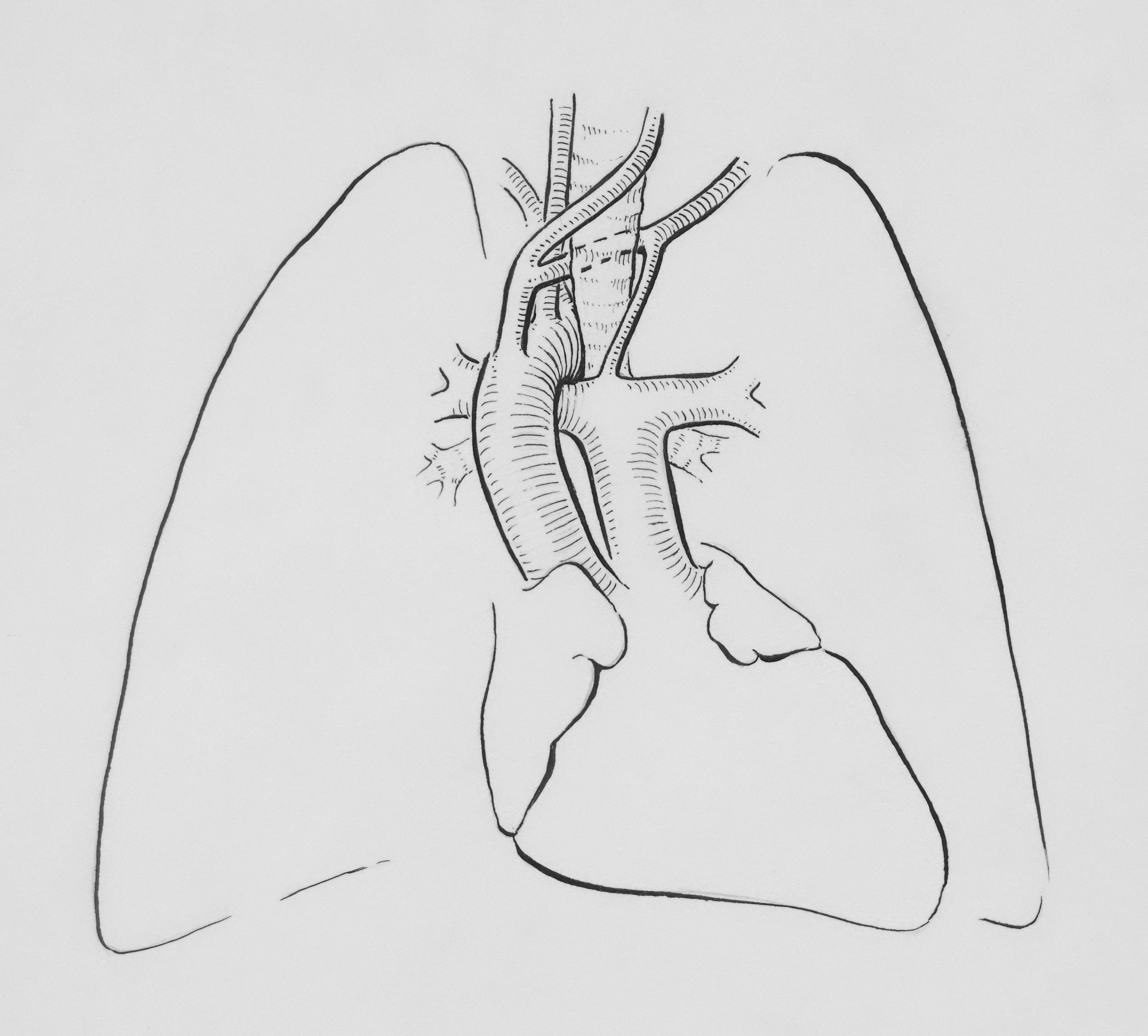 An Introduction to Breathing