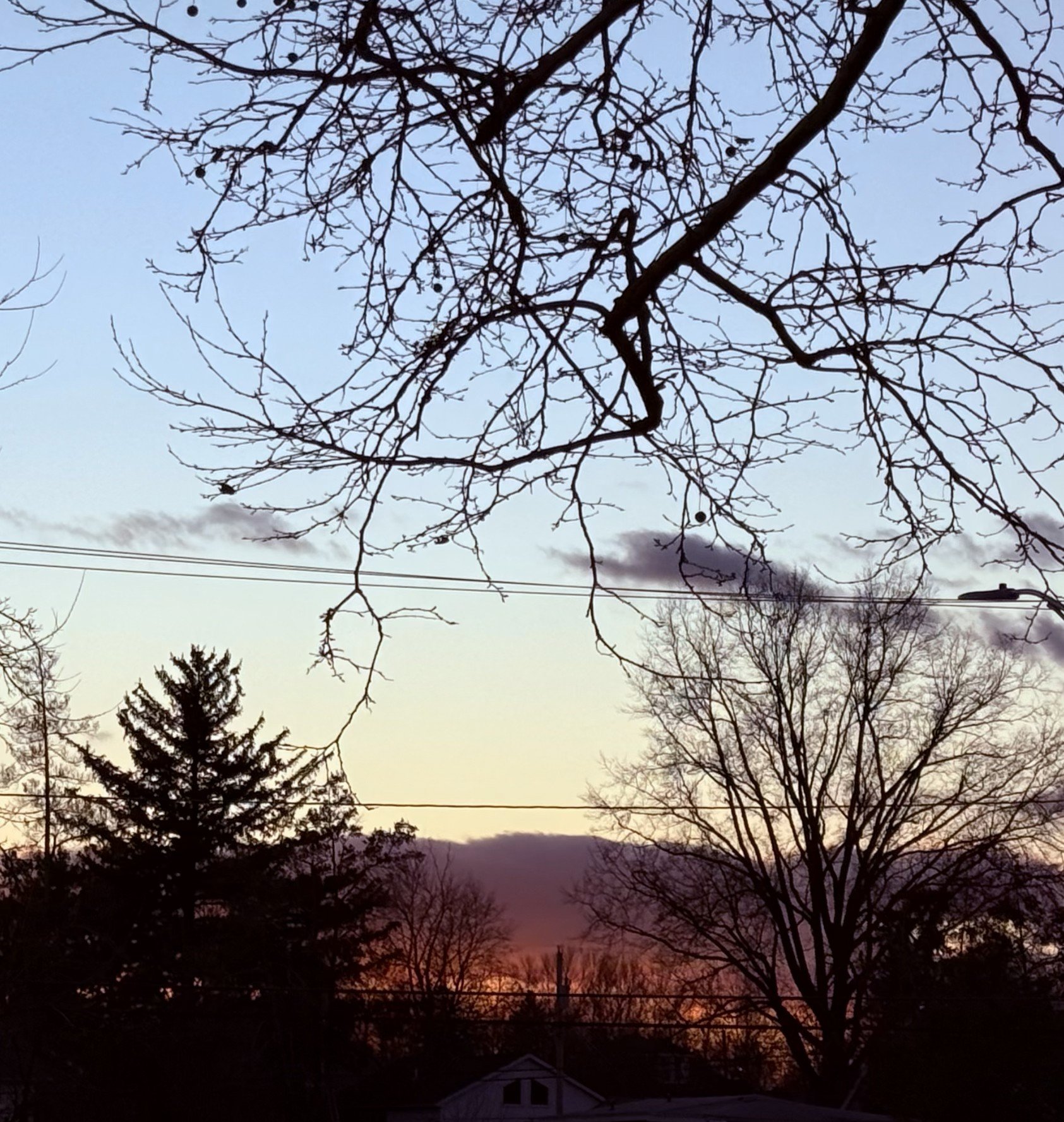 WRITING WORKSHOP: POETRY