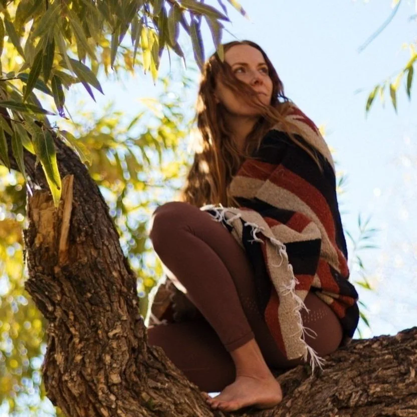 A young woman with long wavy hair sitting on a tree branch surrounded by green leaves, wearing a patterned shawl and brown pants, looking into the distance against a bright sky.