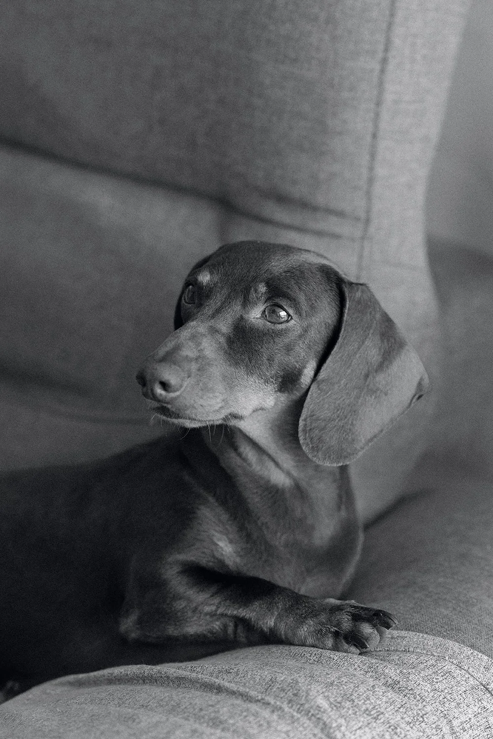 Timeless Editorial Destination Wedding Beach Tufia Gran Canaria Spain-150.jpg