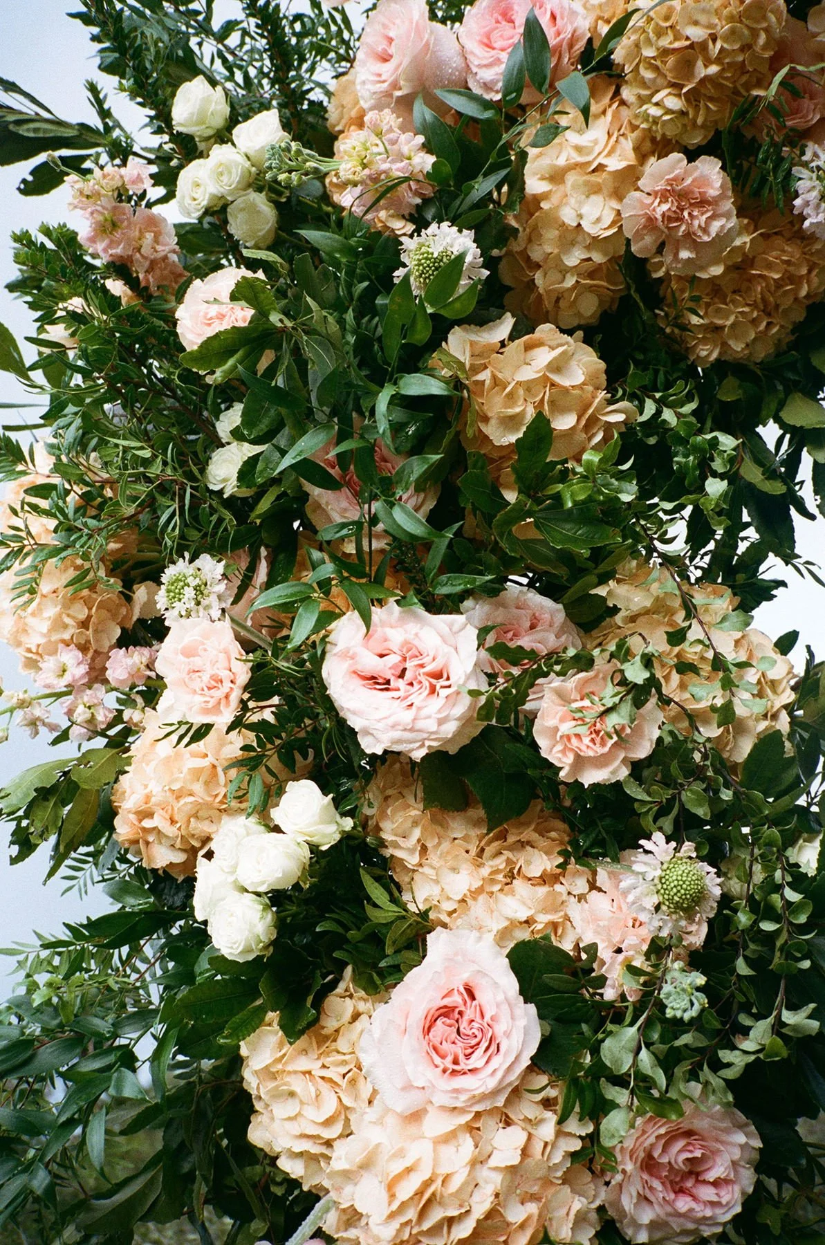 Timeless Editorial Classic Wedding Maipez Hotel Gran Canaria Film40.jpg