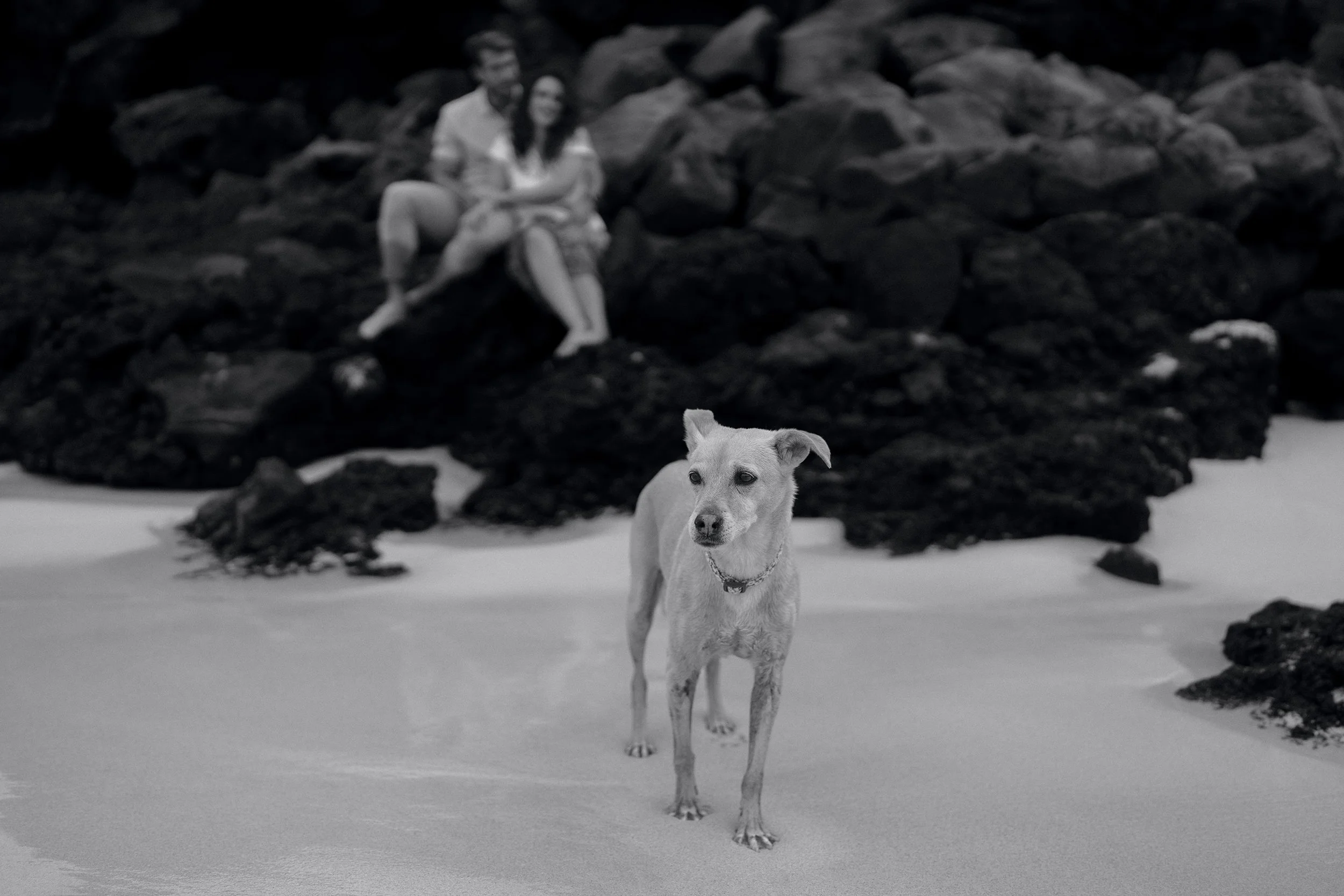 Timeless Fashion Engagement Fuerteventura Beach Ranch Mountains Volcanic Cinematic-28.jpg