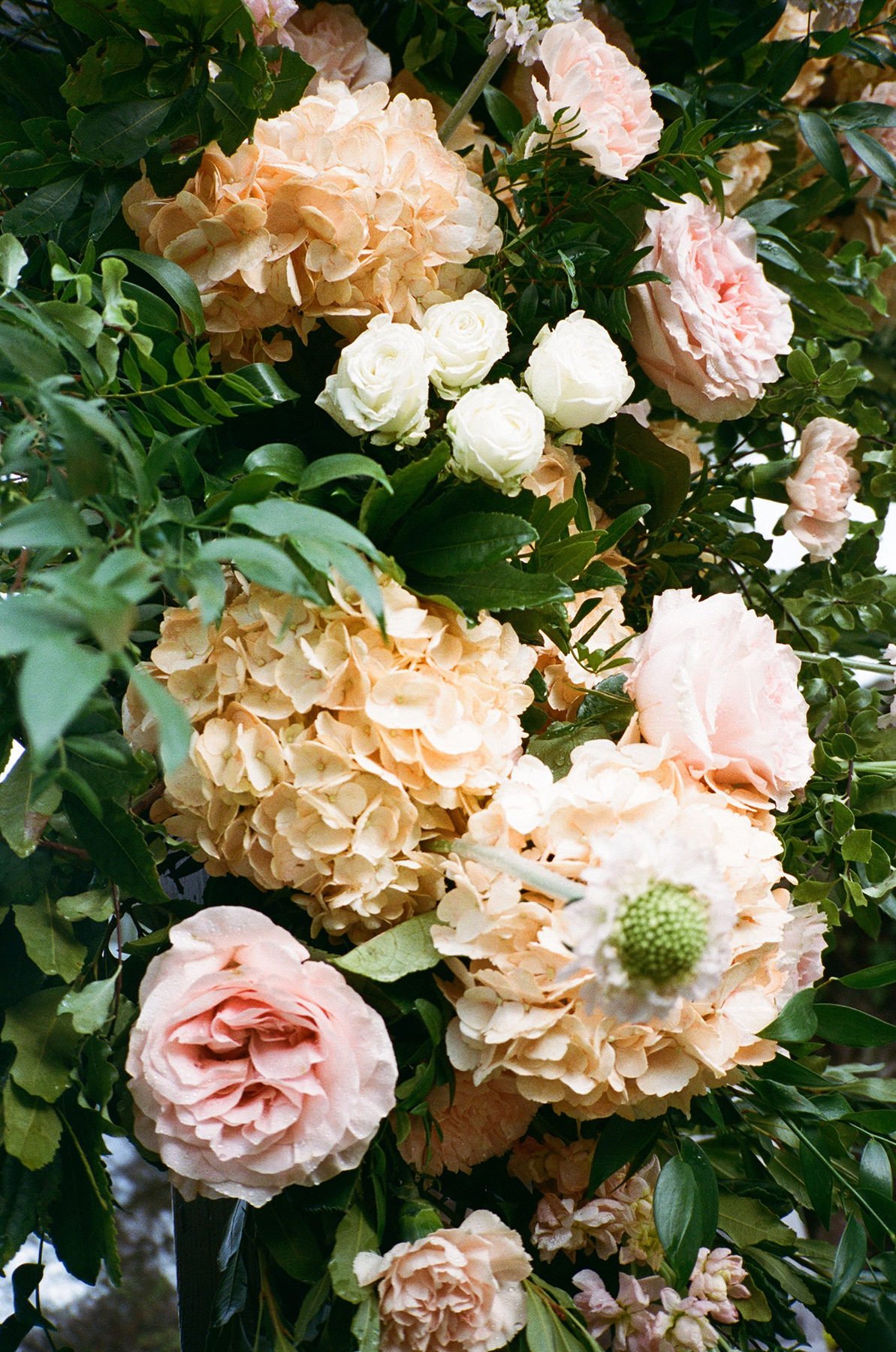 Timeless Editorial Classic Wedding Maipez Hotel Gran Canaria Film41.jpg