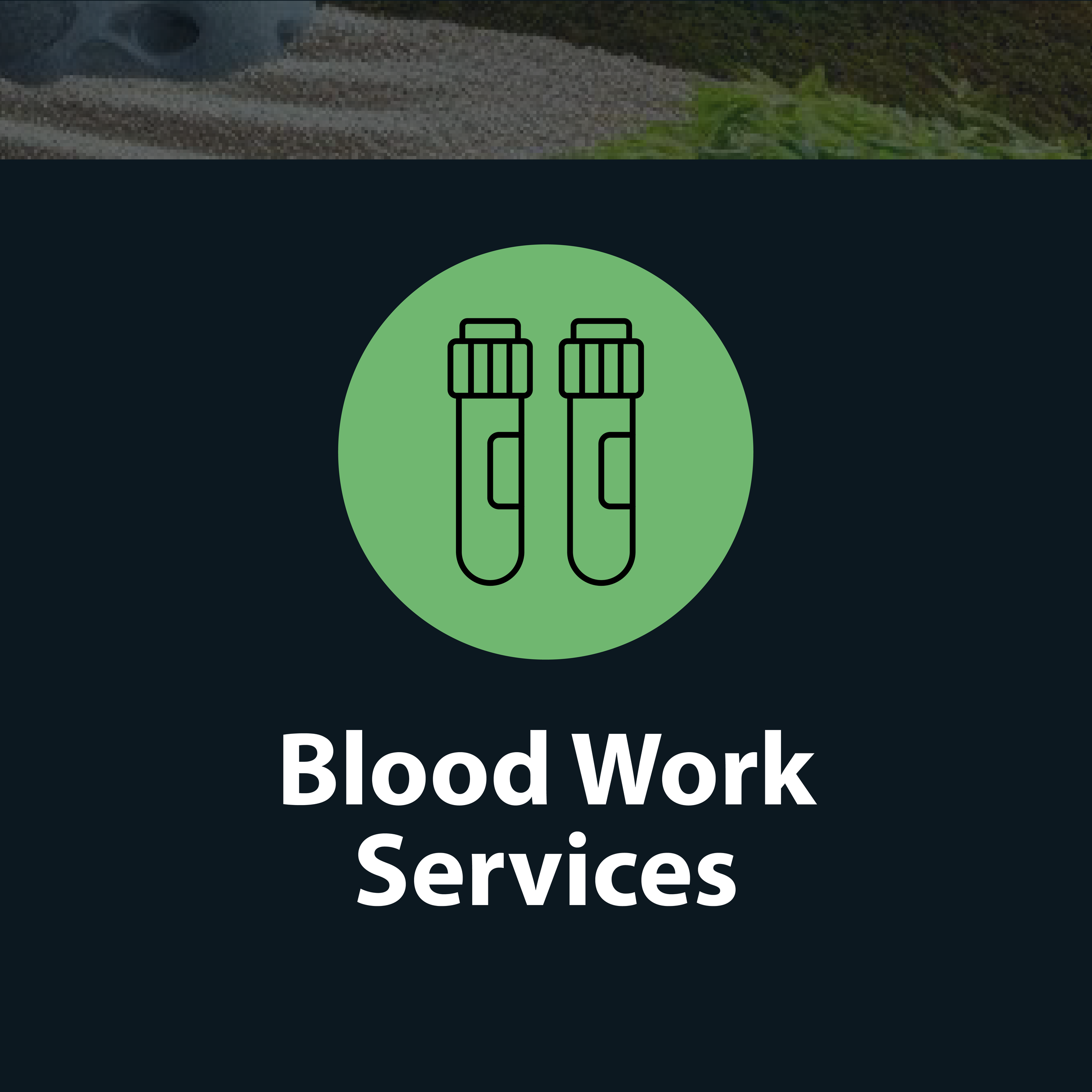 TUF Health Hubservices-03.png