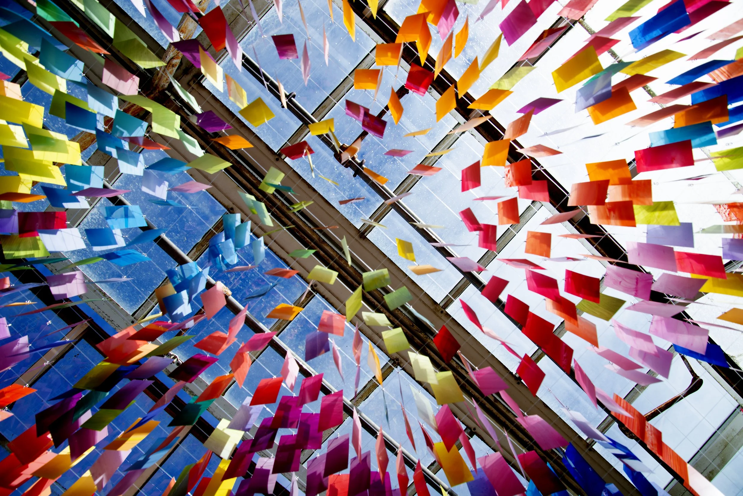 DSC_8812 copy (1).jpg