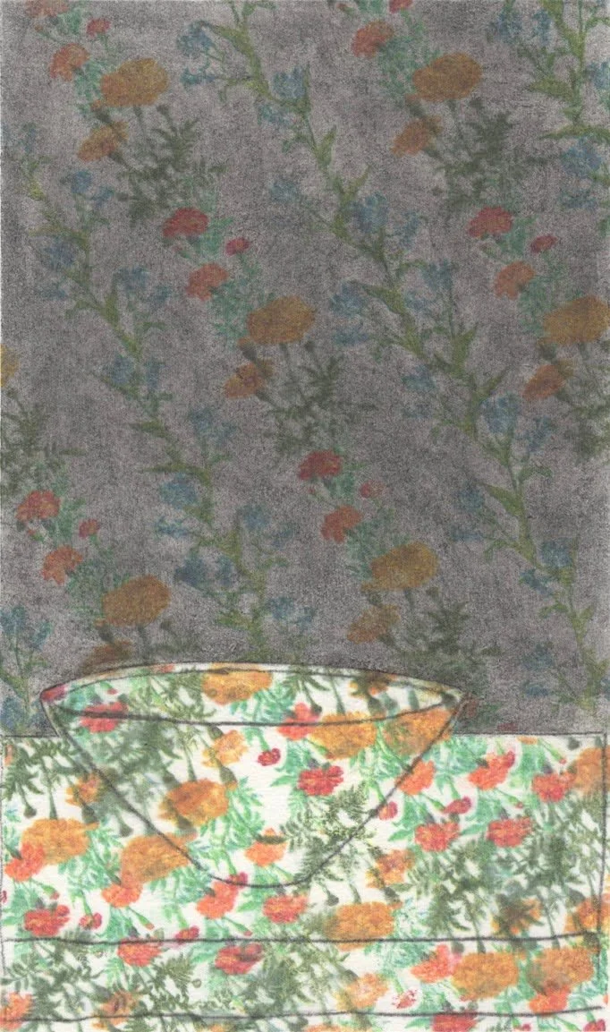 Marigolds and Forget Me Nots ∙ 10.5x 6 inches  ∙ Transferred Color Printer Ink, Carbon Tracing and Charcoal on Paper