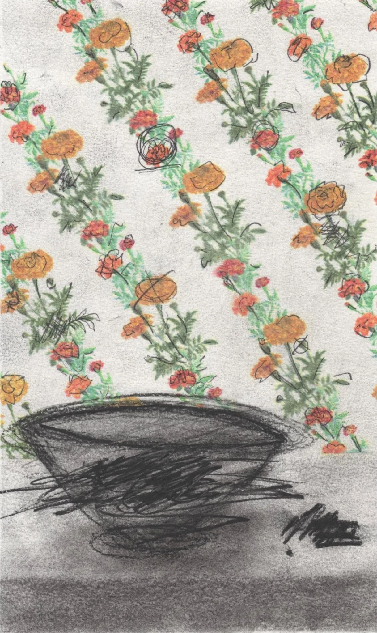 Marigolds and Carbon ∙ 10.5x 6 inches  ∙ Transferred Color Printer Ink, Carbon Tracing and Charcoal on Paper