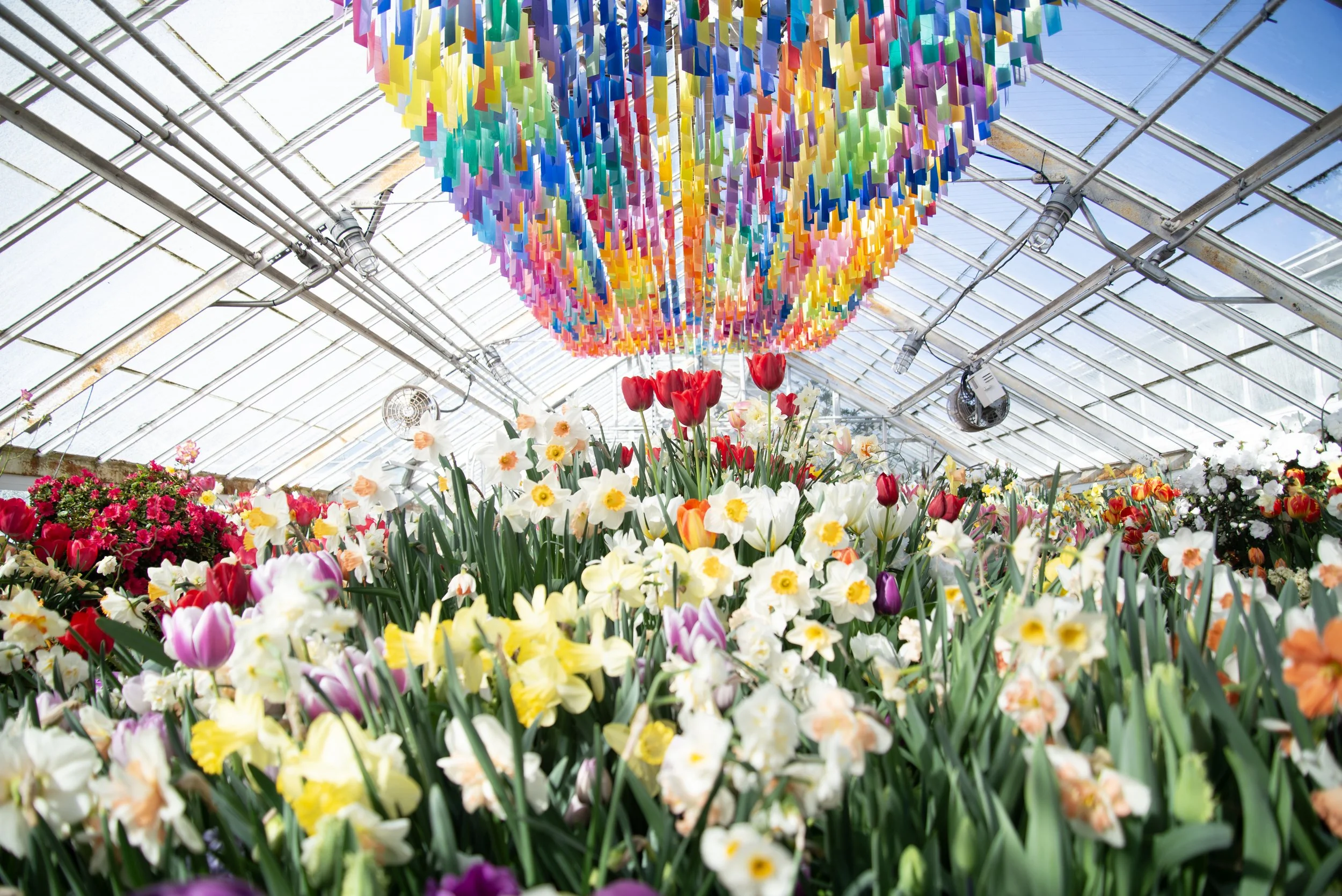 DSC_9711 copy (1).jpg