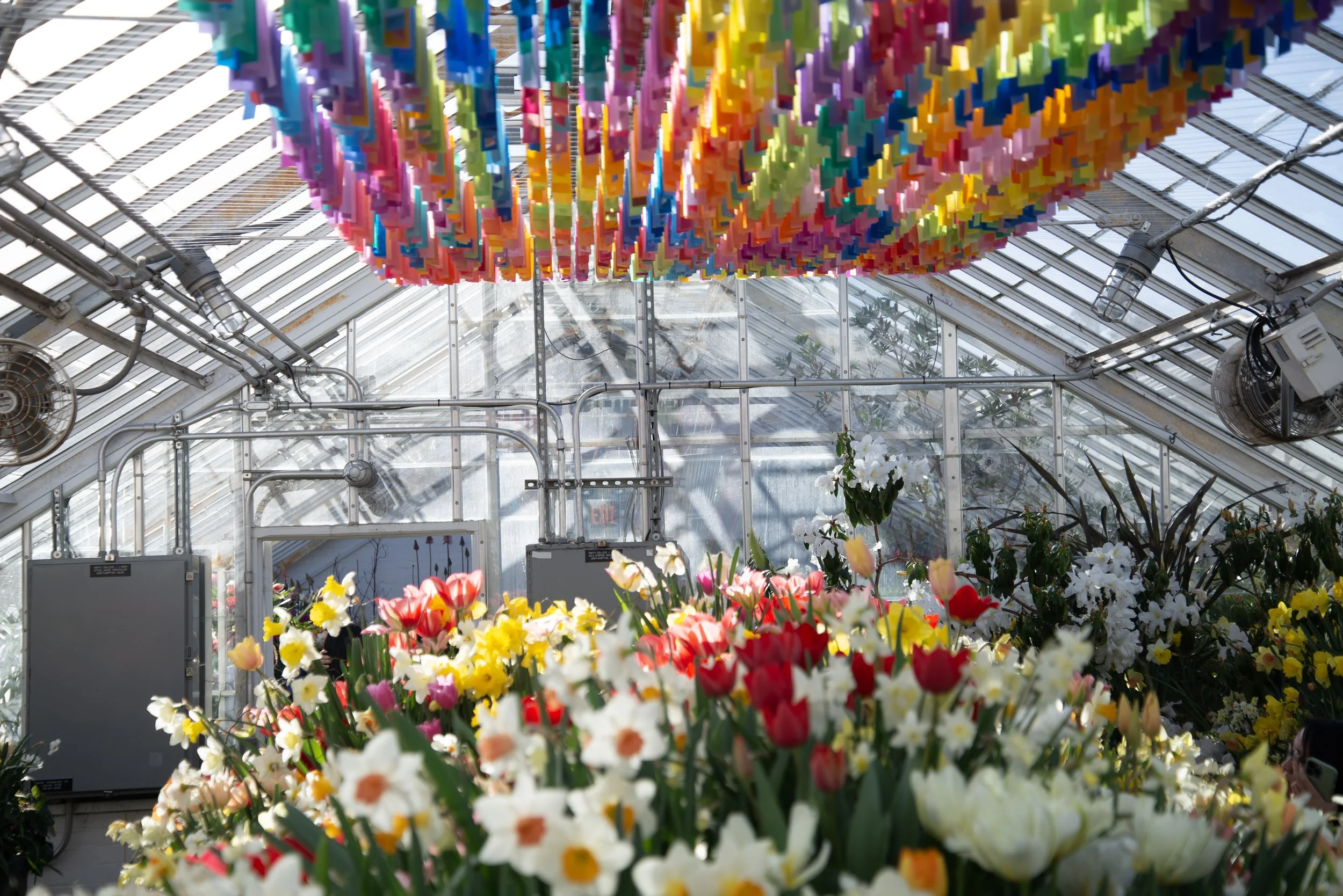 DSC_9347 copy (1).jpg