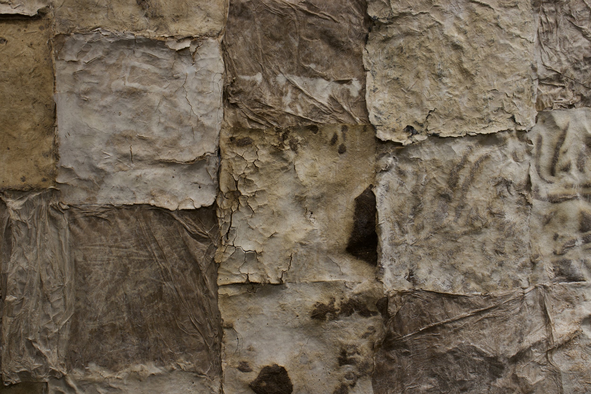 crackle detail 2.jpeg