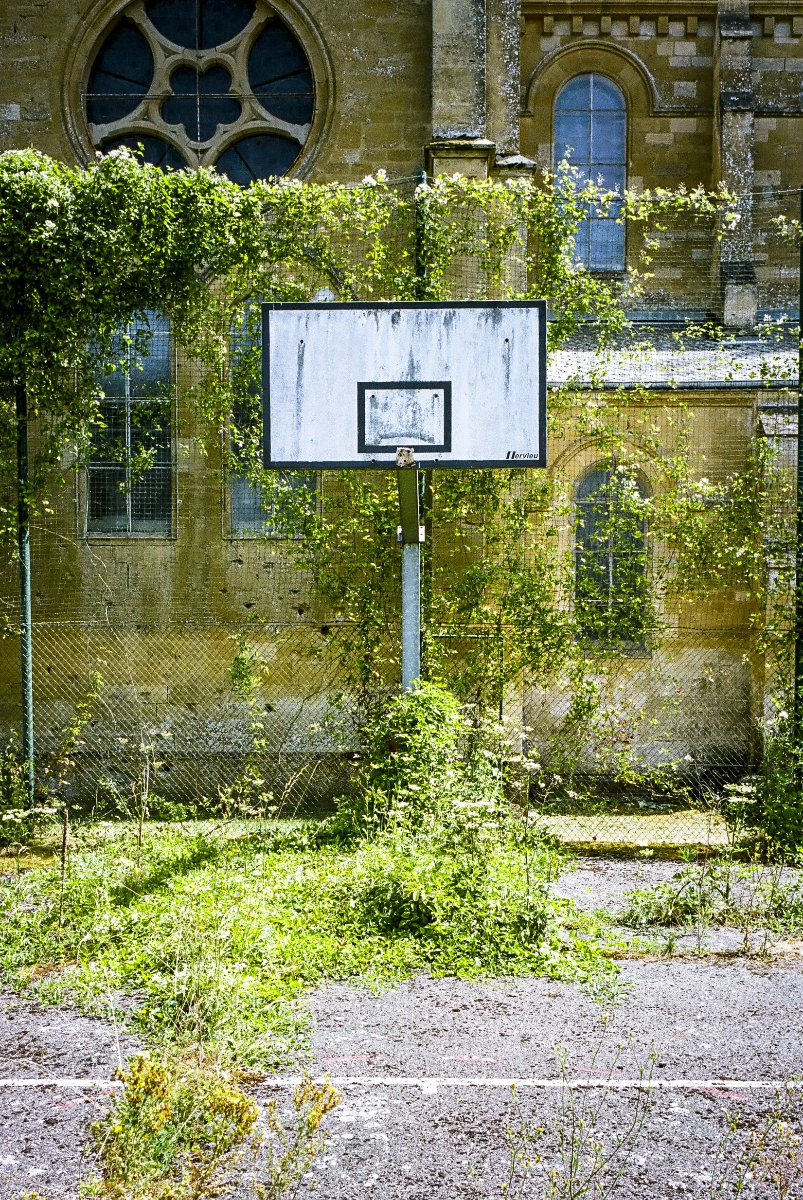 000415040025_8.jpg