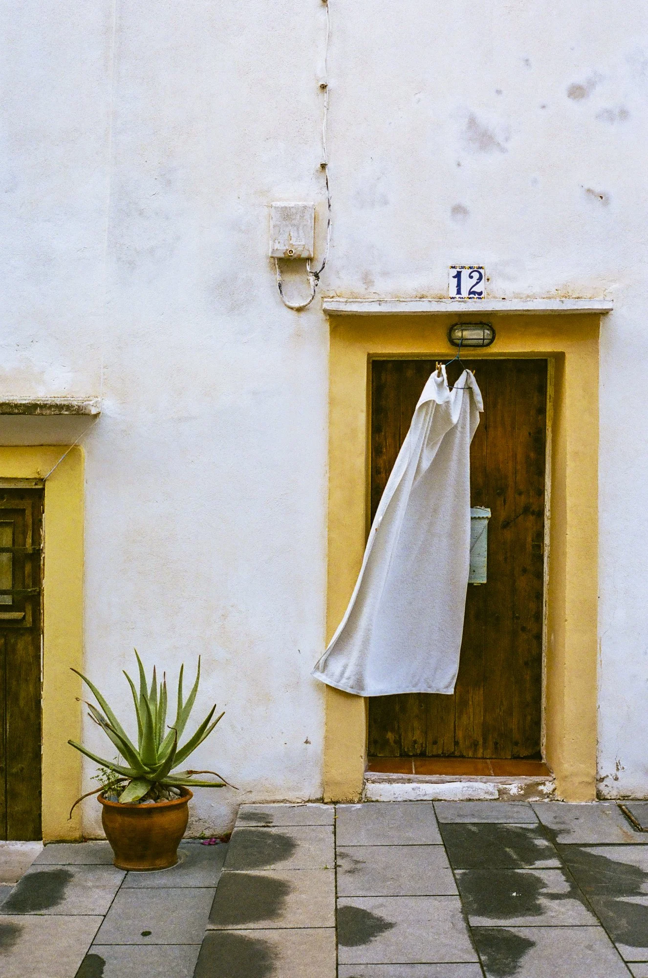 A white building with a wooden door and house number 12 above it. A white curtain hangs from a hook on the door, and a potted aloe vera plant is on the stone-paved ground next to the door.