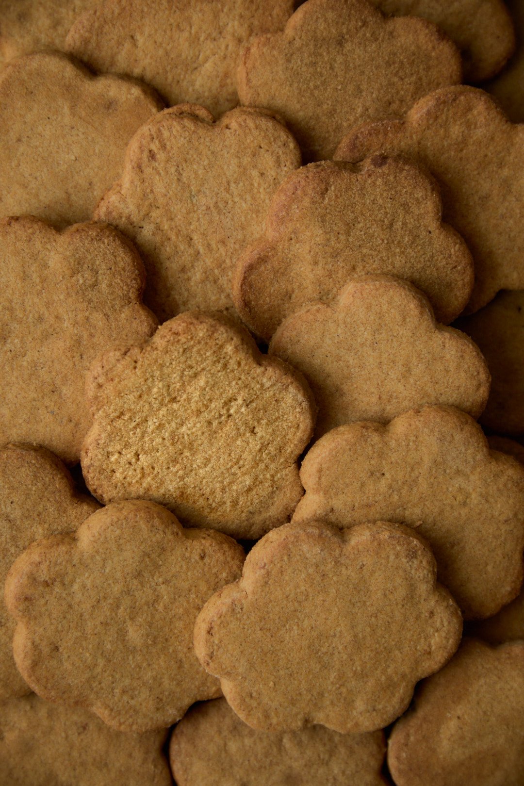 sables canelle (2).jpg
