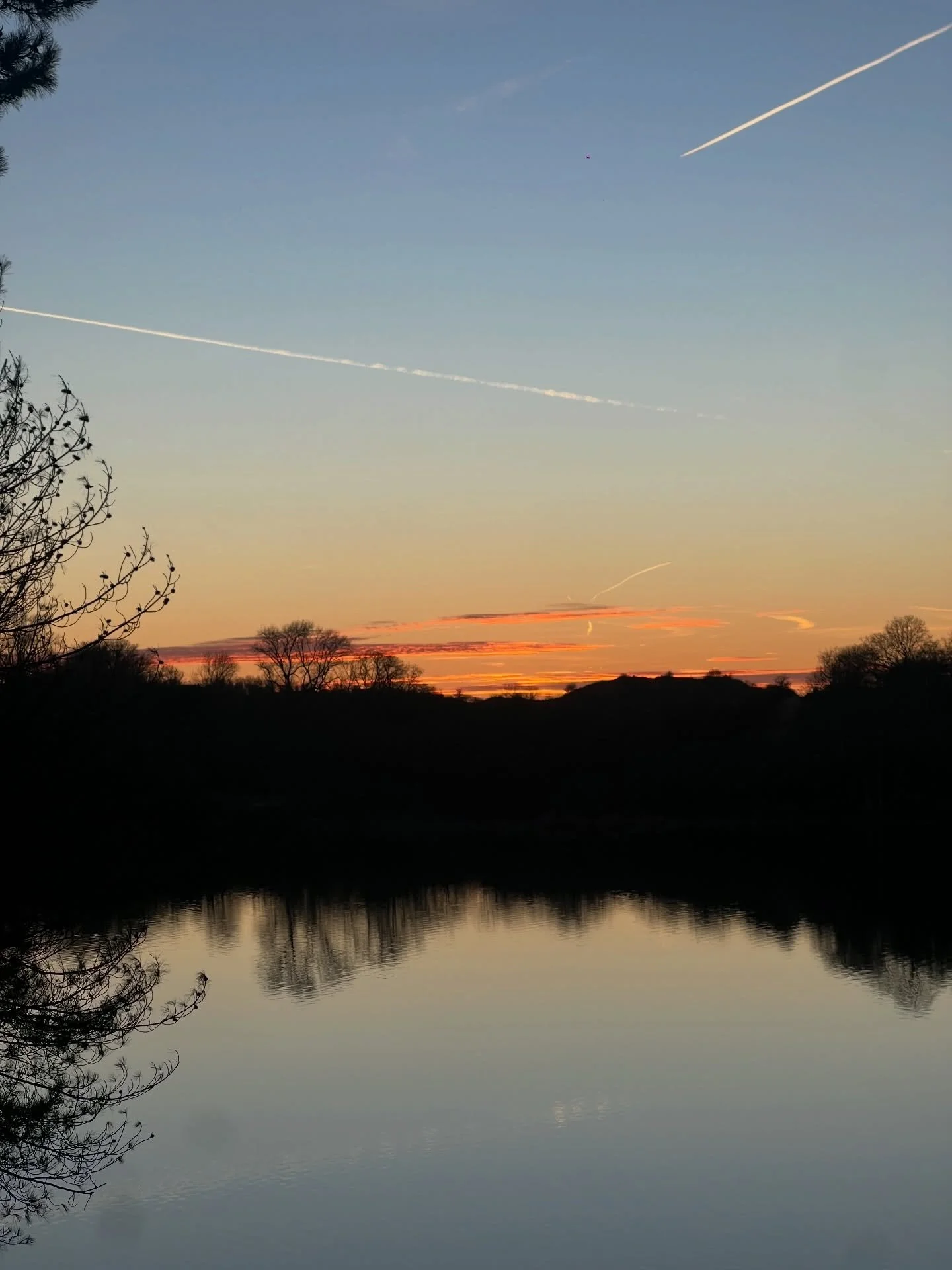 Bless deze lenteavondjes 🌝🌝🌝🌝