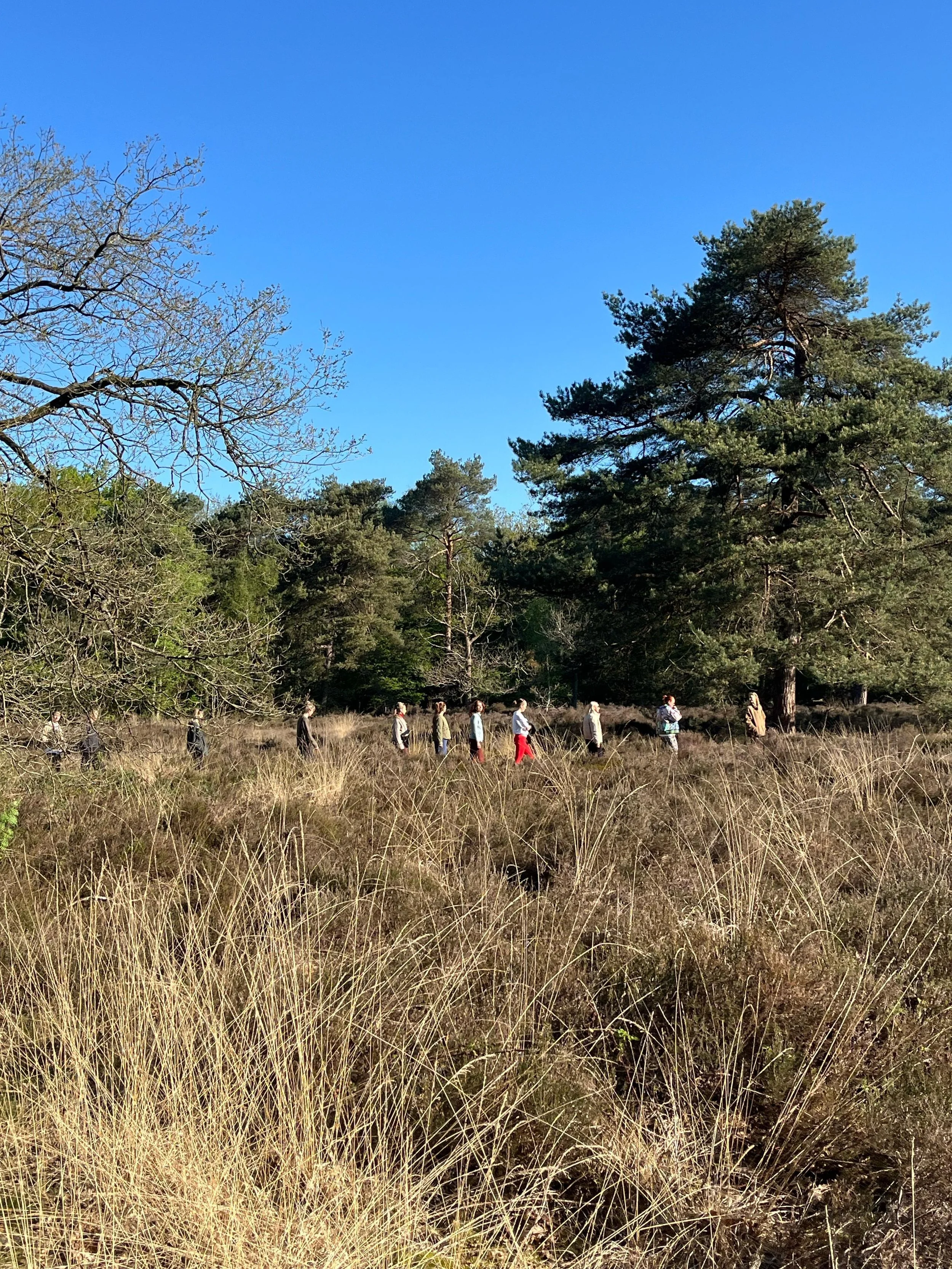 WhatsApp Image 2026-03-23 at 20.43.09.jpeg