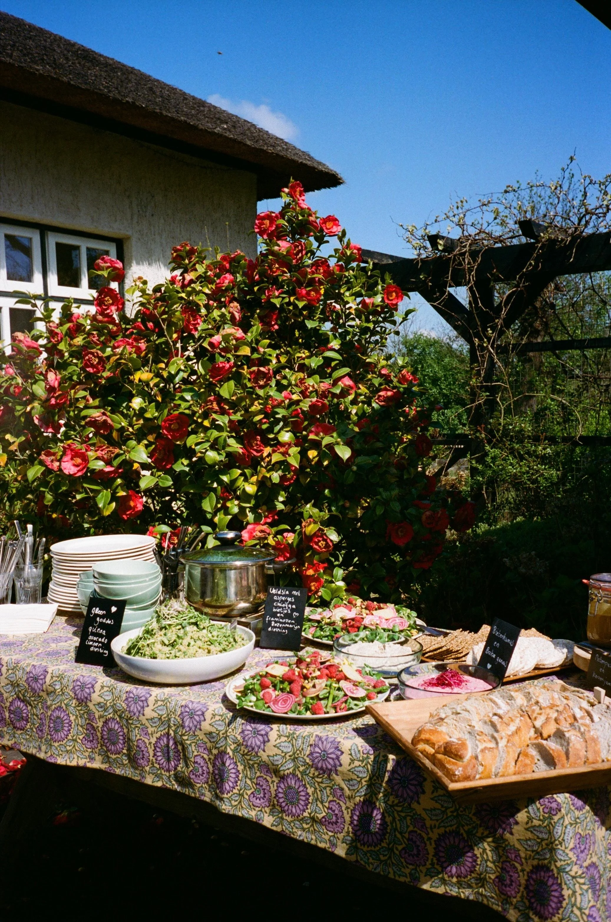 WhatsApp Image 2026-03-23 at 20.41.20.jpeg