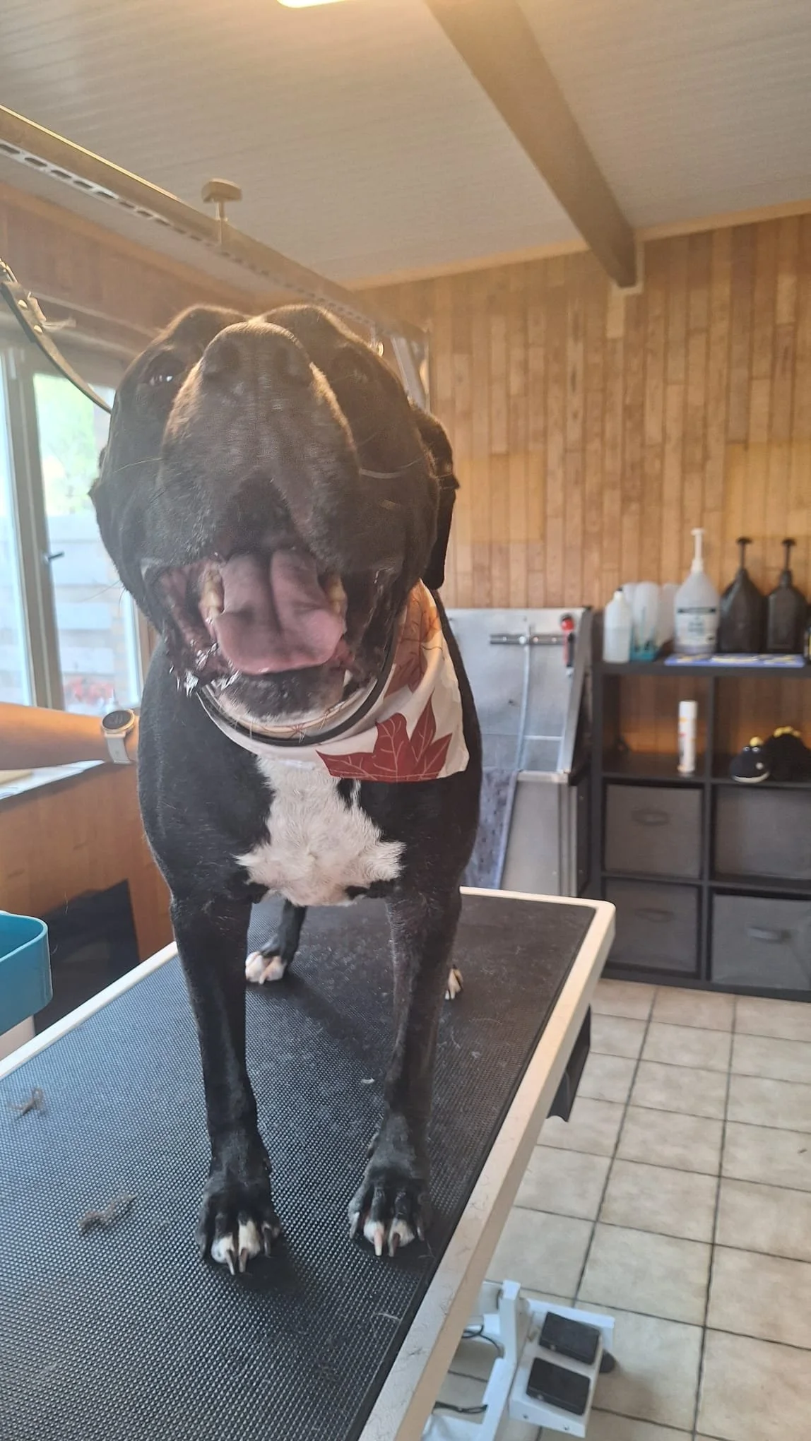 WhatsApp Image 2026-01-14 at 13.56.39 (3).jpeg