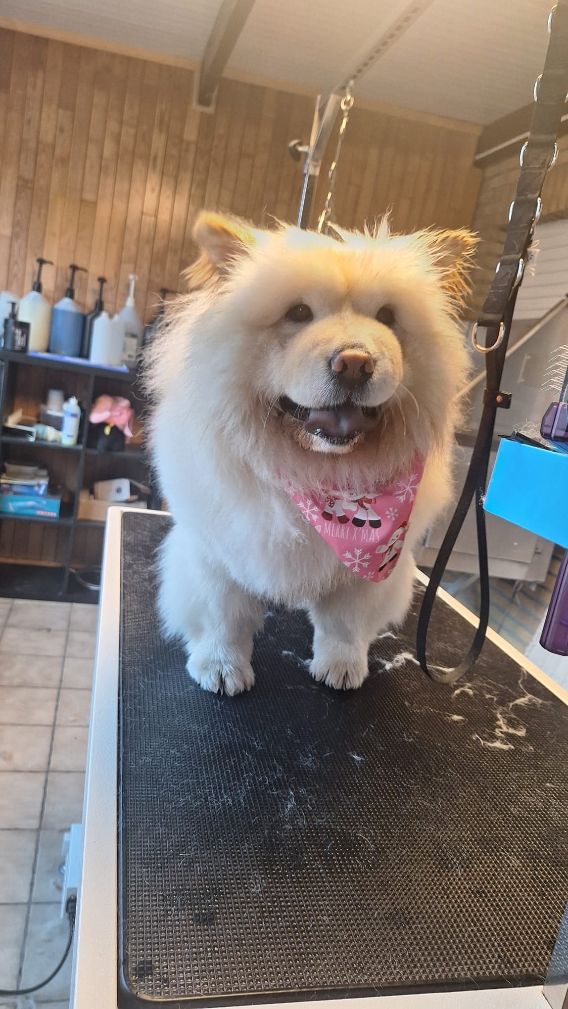 WhatsApp Image 2026-01-14 at 13.56.38.jpeg