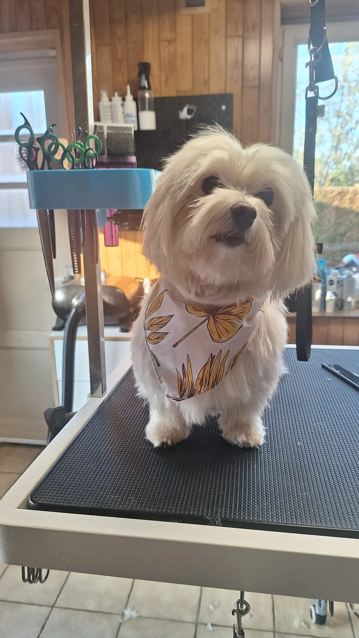 WhatsApp Image 2026-01-14 at 13.56.38 (4).jpeg