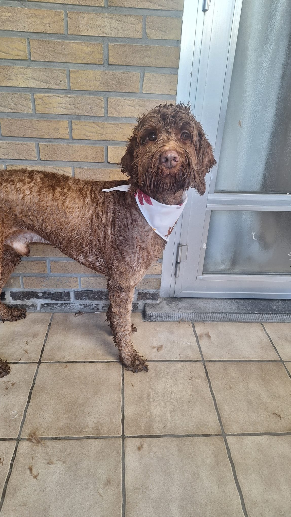 WhatsApp Image 2026-01-14 at 13.56.38 (3).jpeg