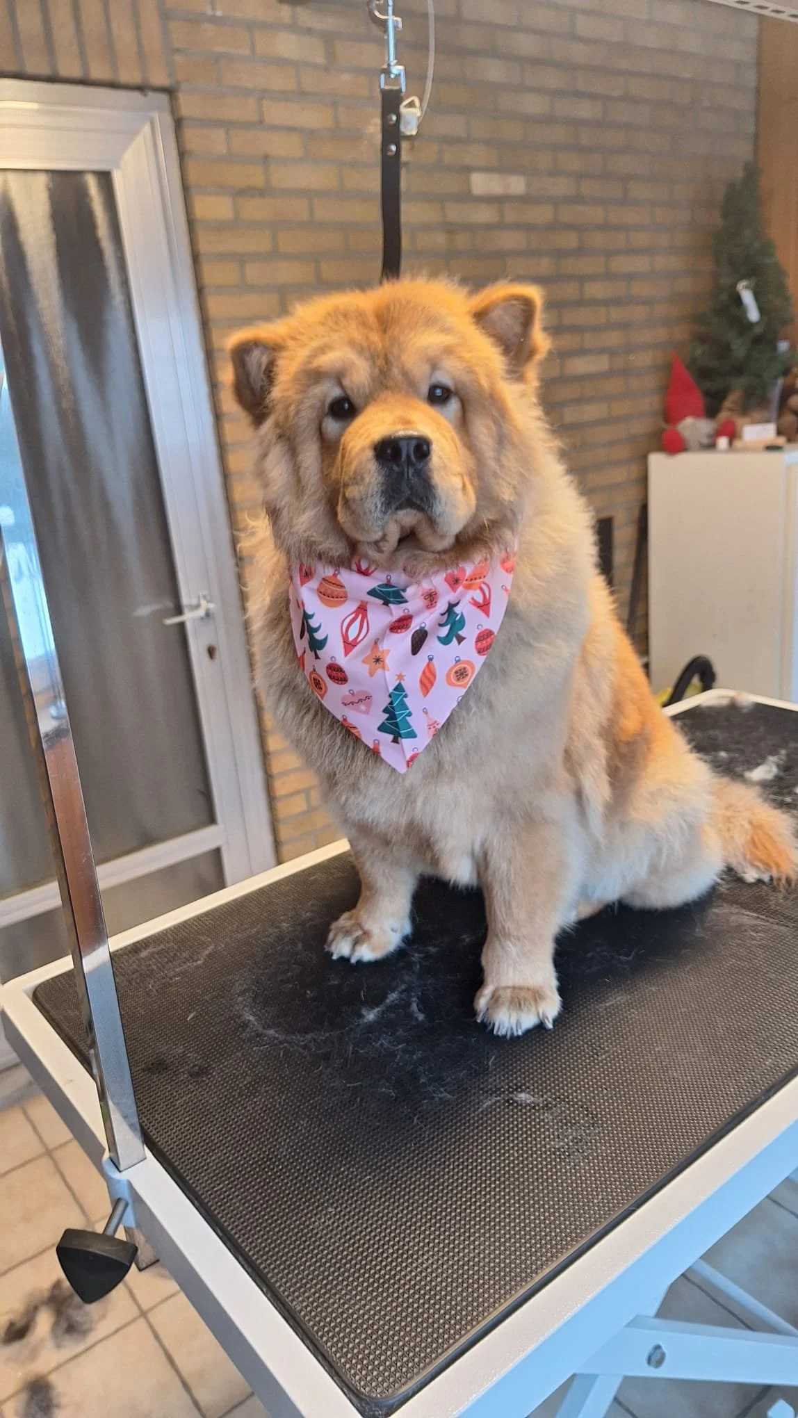 WhatsApp Image 2026-01-14 at 13.56.36.jpeg