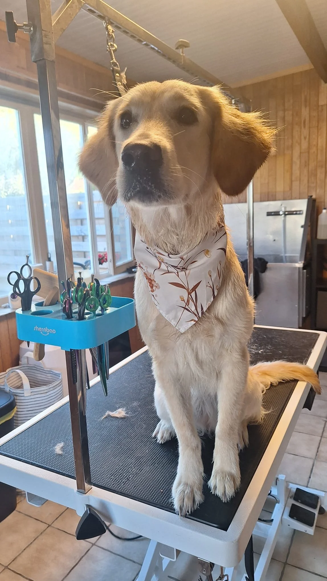 WhatsApp Image 2026-01-14 at 13.56.39 (4).jpeg