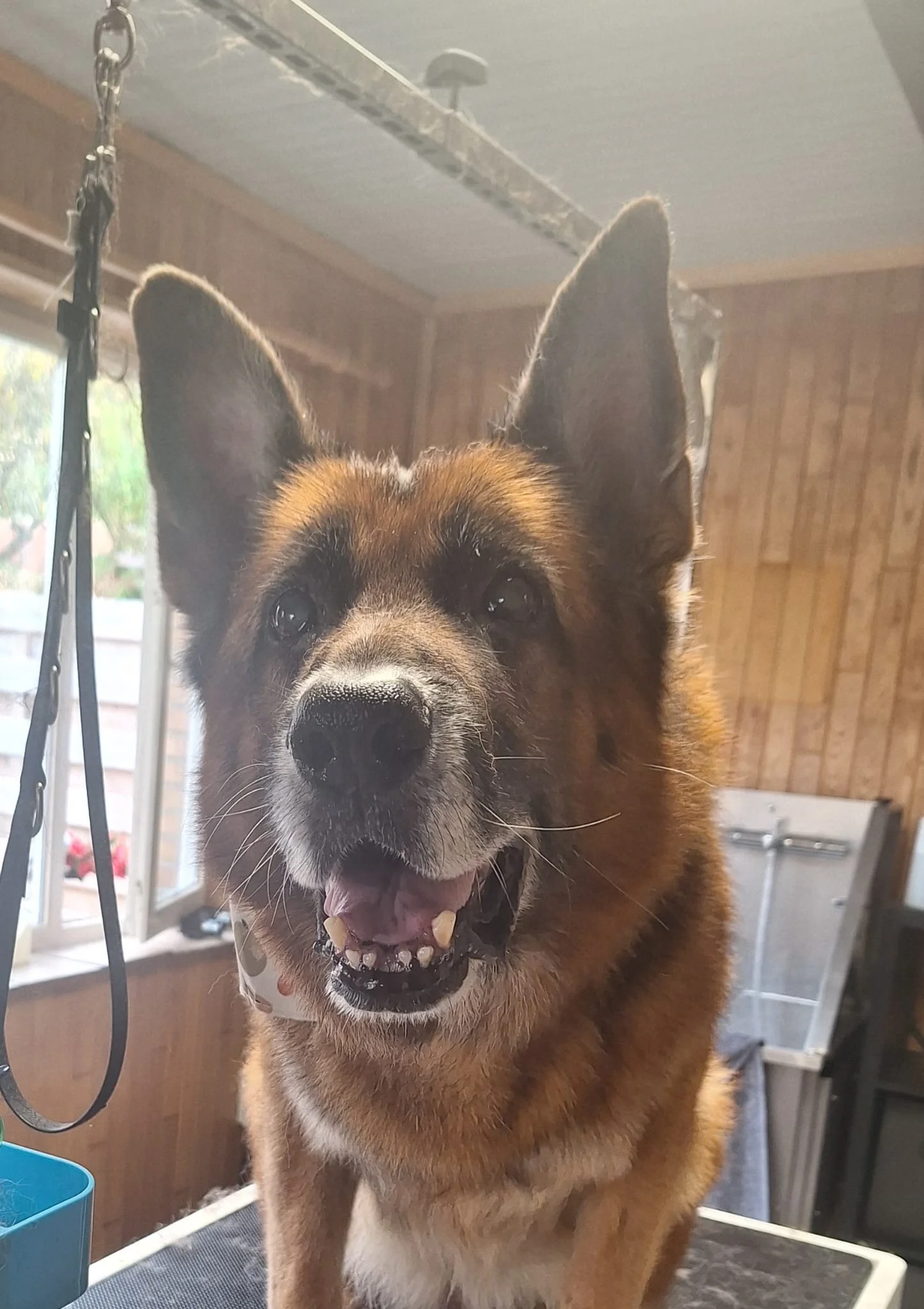 WhatsApp Image 2026-01-14 at 13.56.39 (1).jpeg