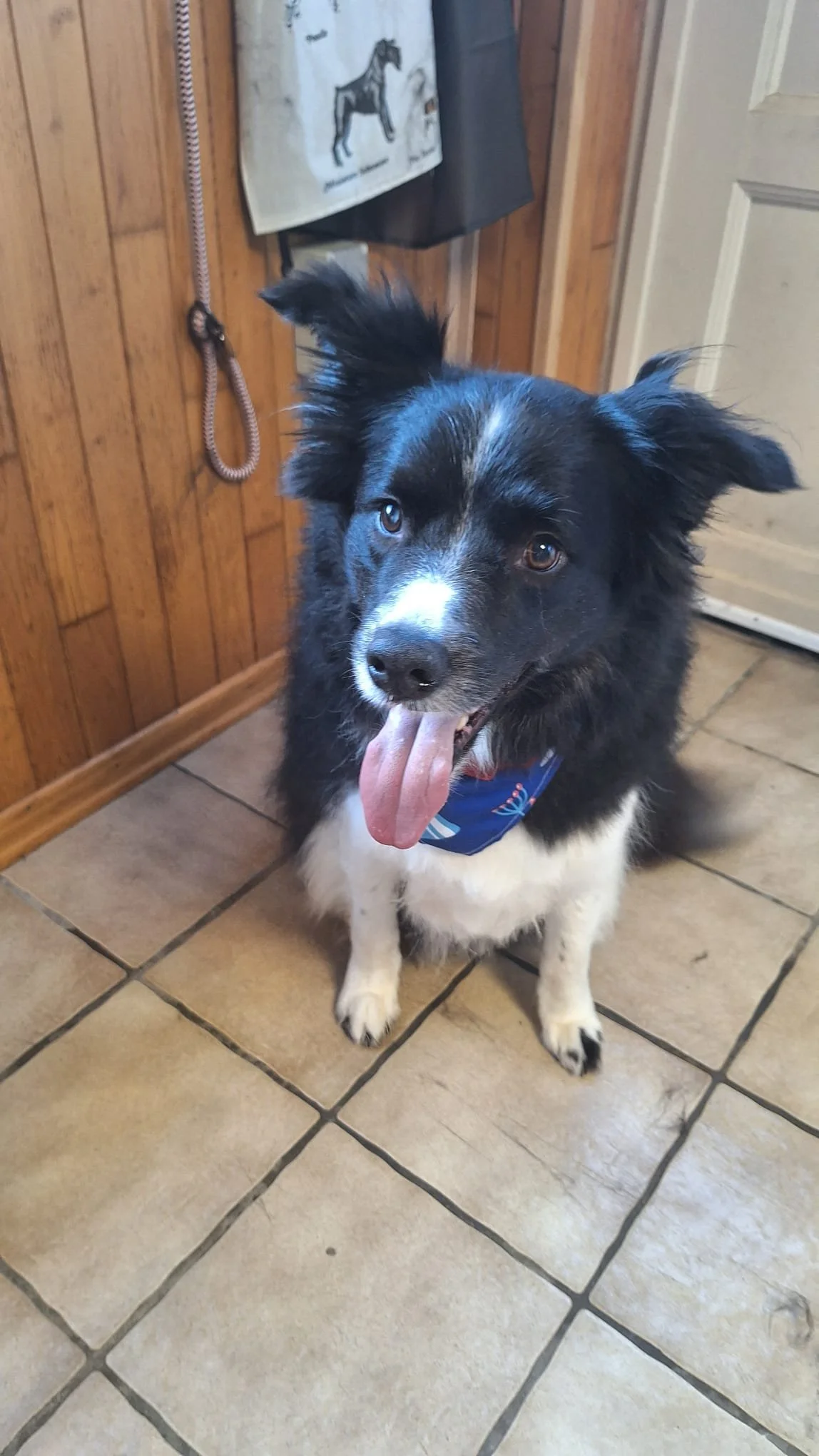 WhatsApp Image 2026-01-14 at 13.56.36 (1).jpeg