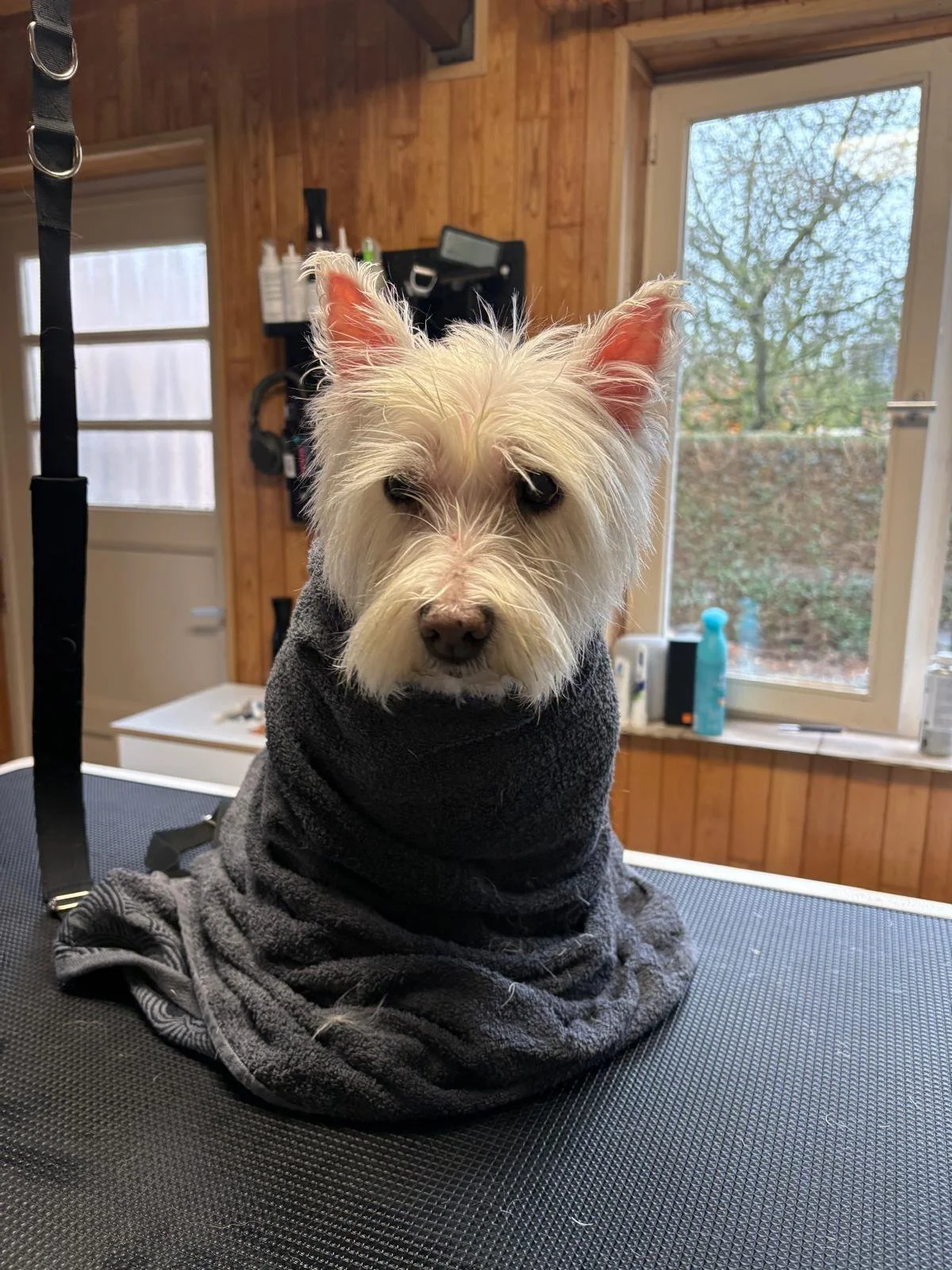 WhatsApp Image 2026-01-14 at 13.56.36 (3).jpeg