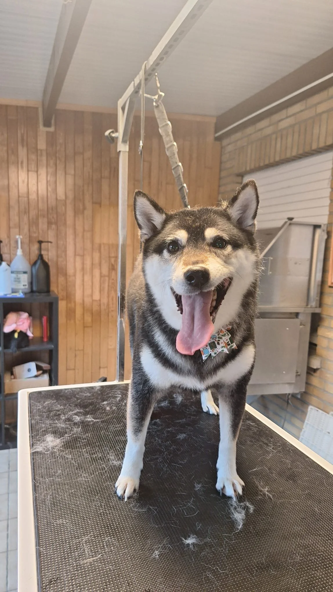 WhatsApp Image 2026-01-14 at 13.56.37 (3).jpeg