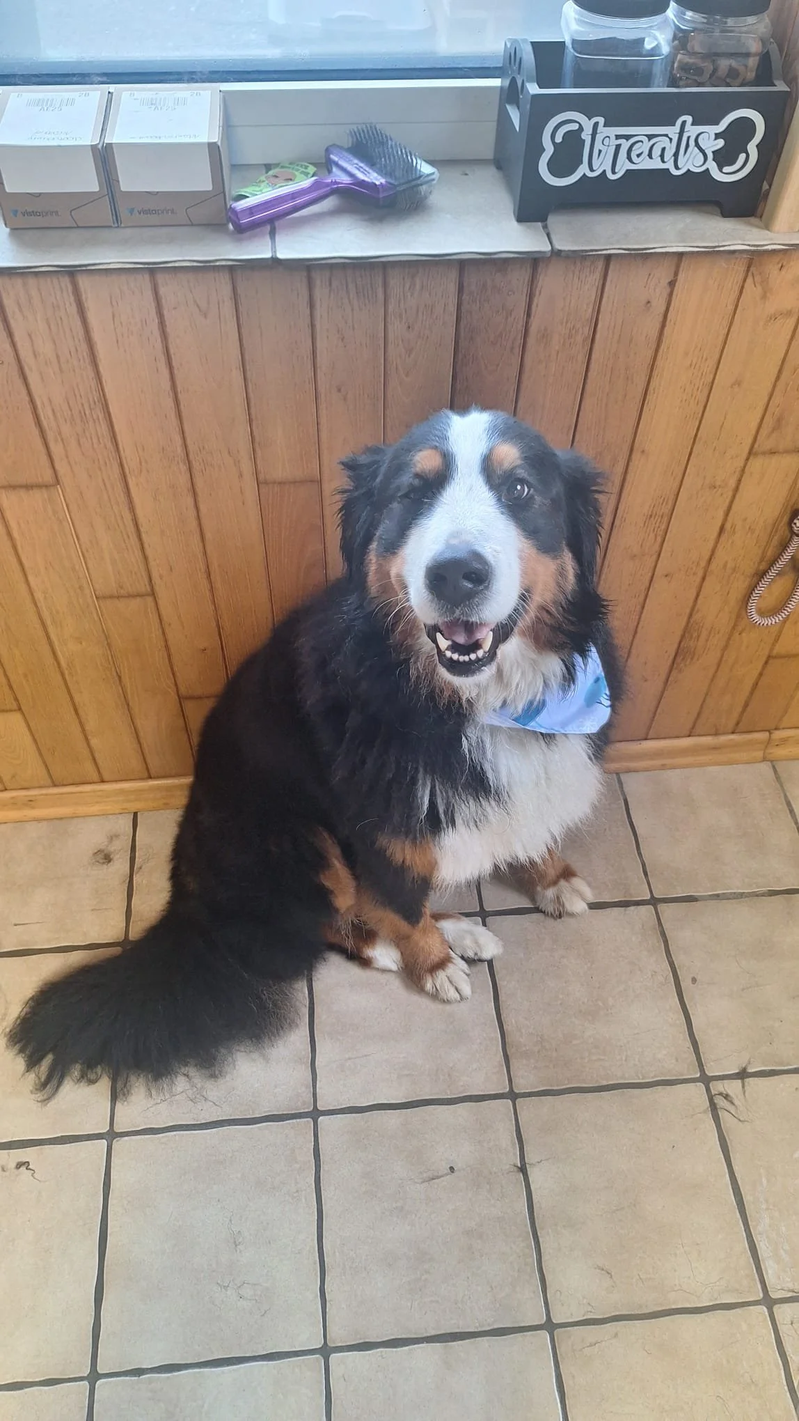 WhatsApp Image 2026-01-14 at 13.56.37.jpeg