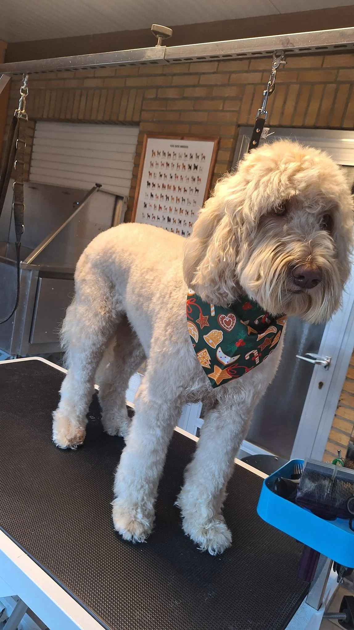 WhatsApp Image 2026-01-14 at 13.56.38 (1).jpeg