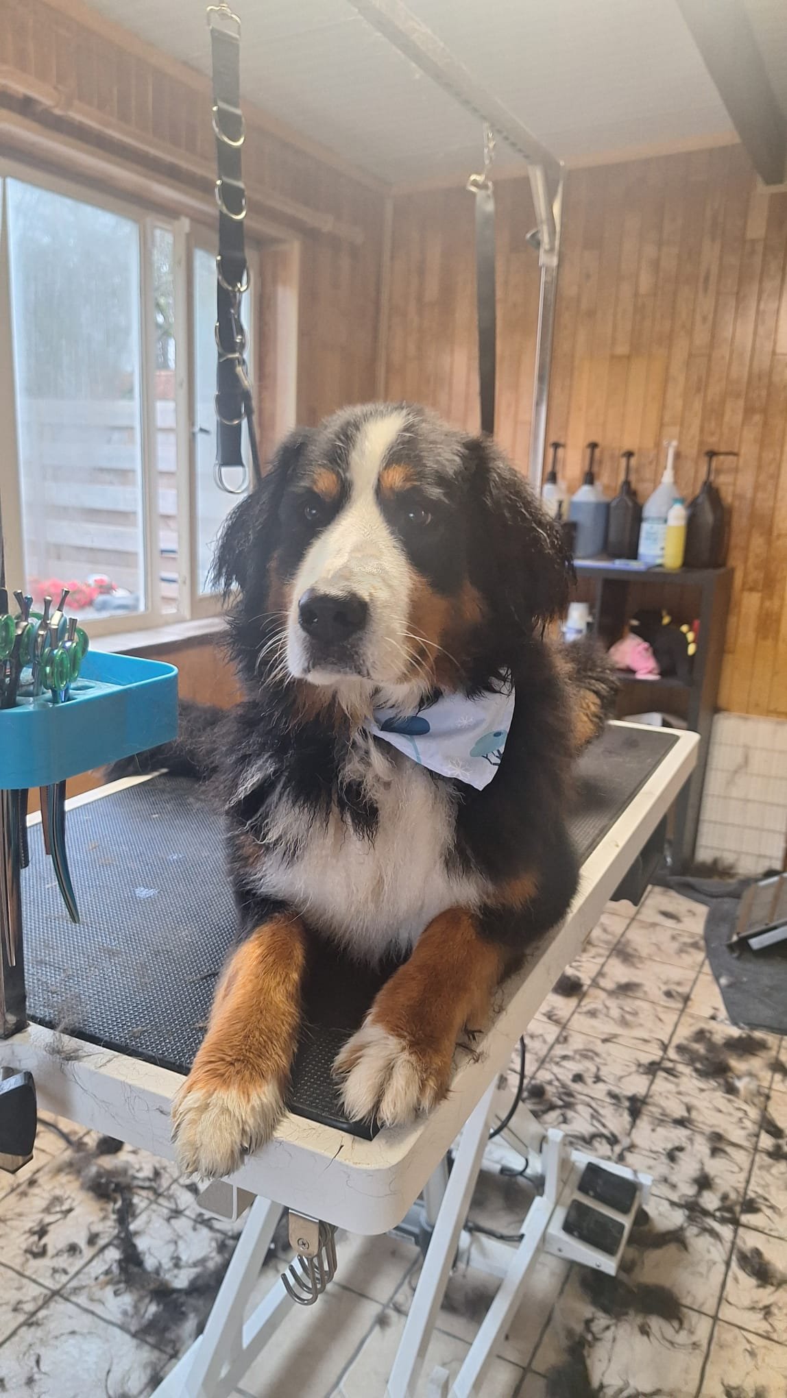 WhatsApp Image 2026-01-14 at 13.56.37 (1).jpeg