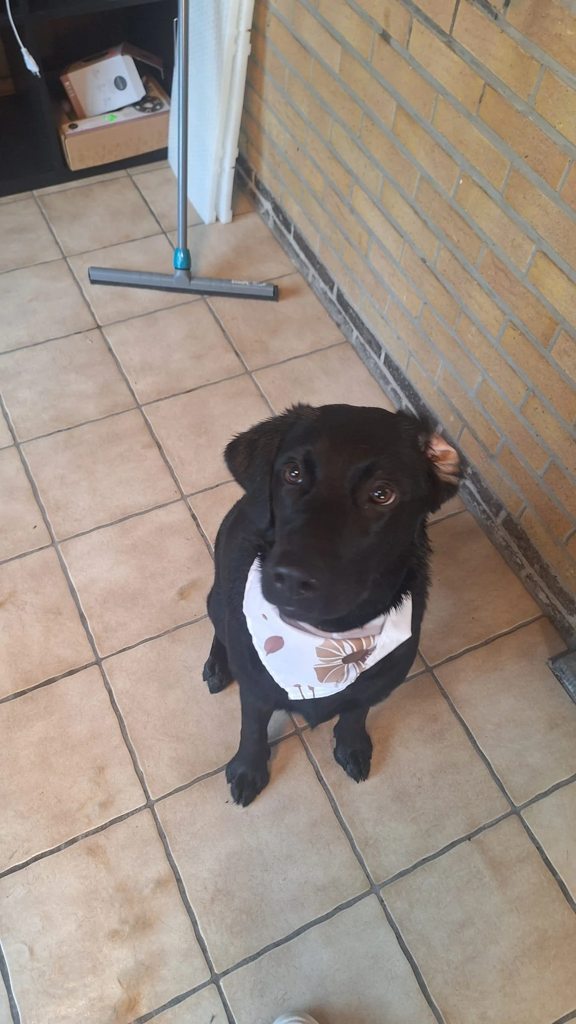 WhatsApp Image 2026-01-14 at 13.56.39 (2).jpeg