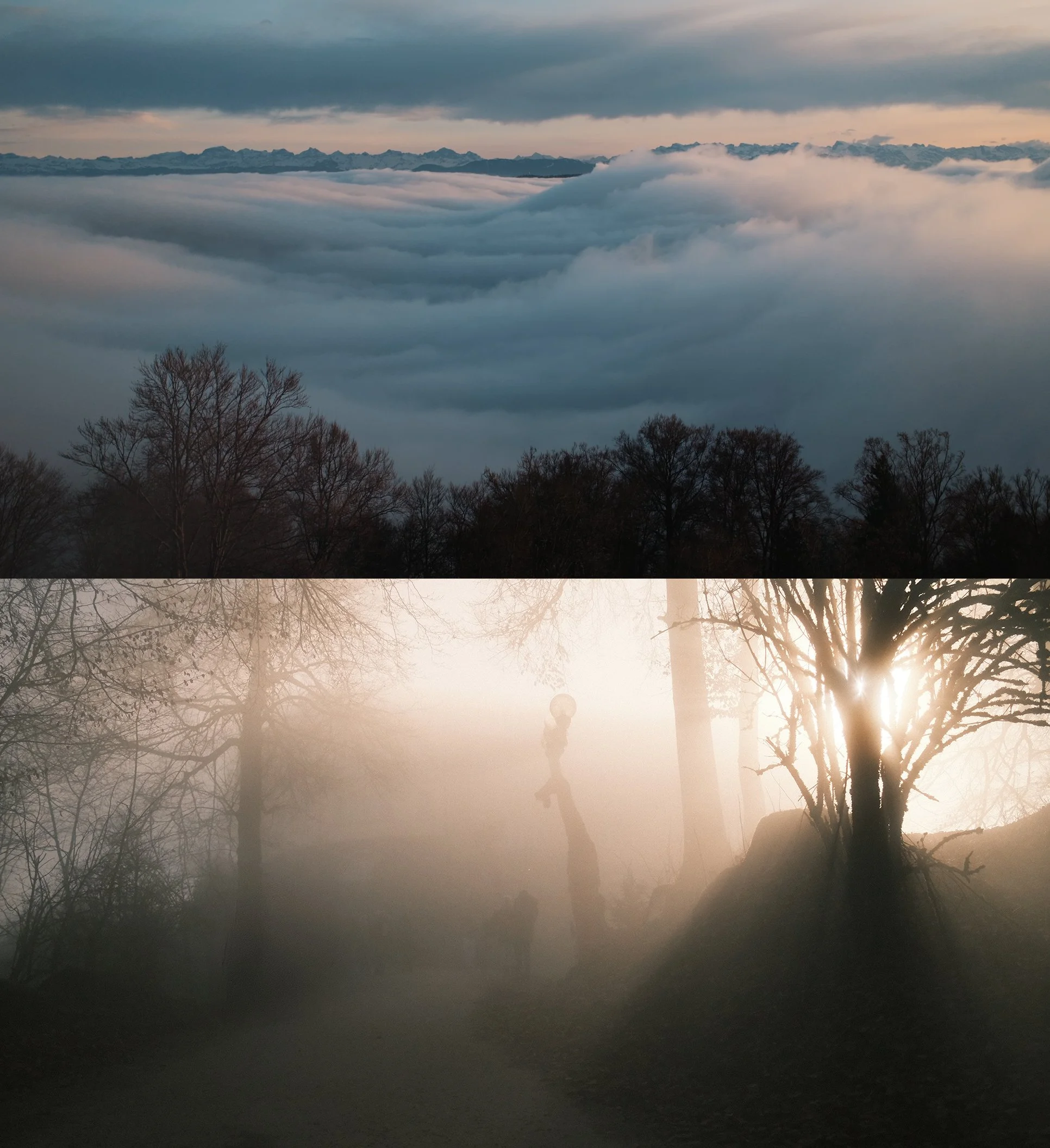 UtoFog.jpg