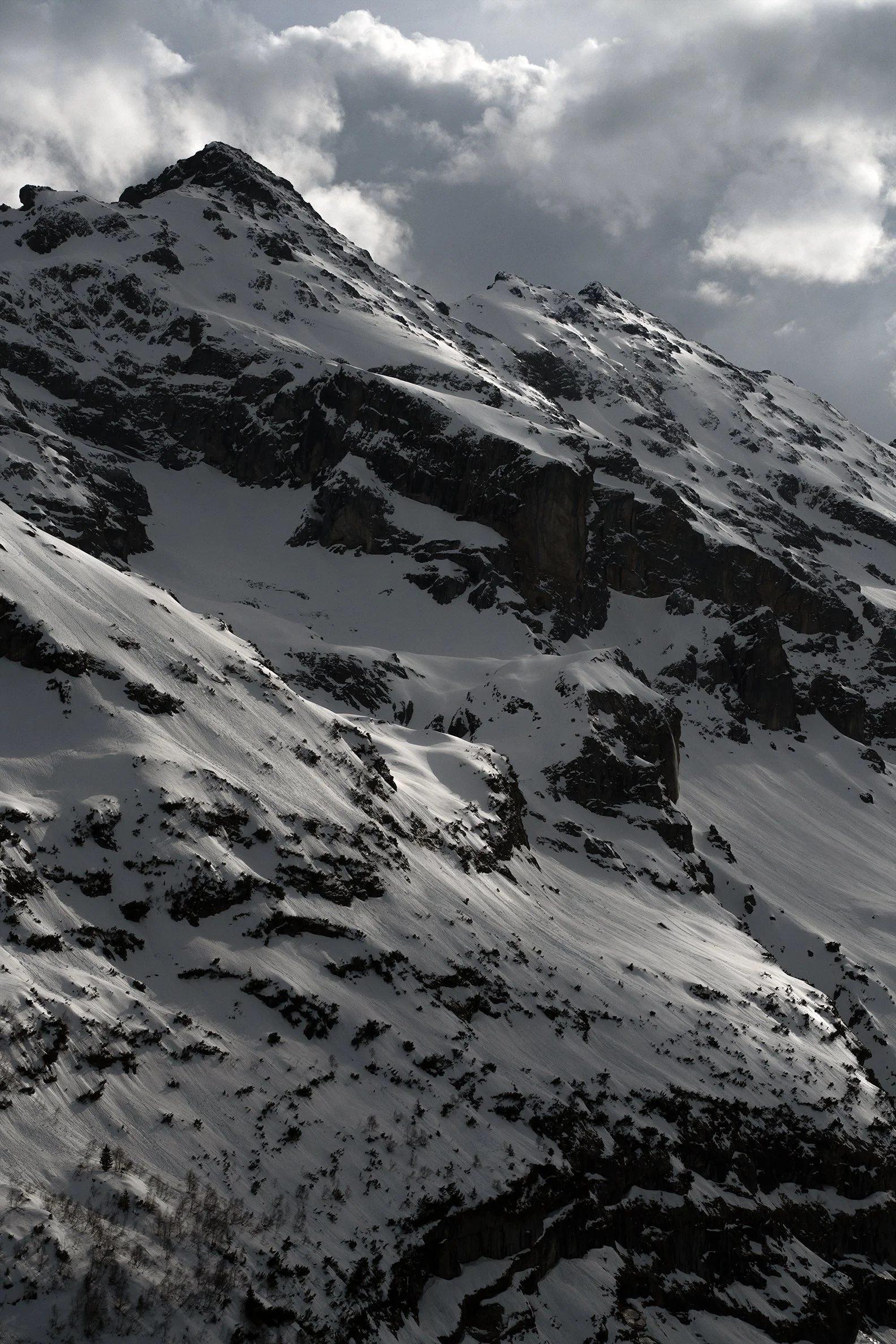 Fjellmagi copy.jpg