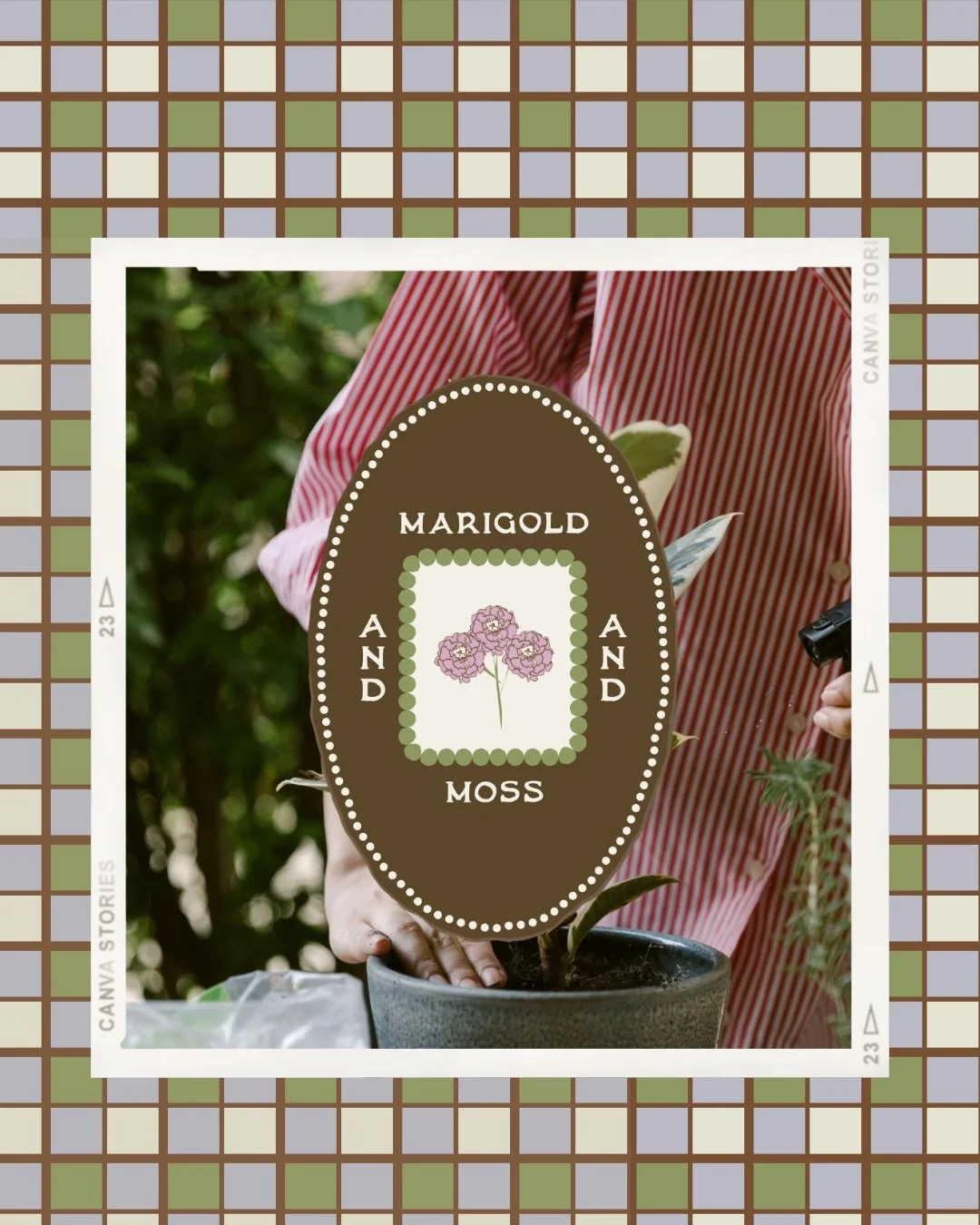 She&rsquo;s cute, she&rsquo;s cozy, and she&rsquo;s a fresh take on a vintage apothecary / plant store. This is the Marigold and Moss conceptual plant brand I submitted for @curatedcollective.co September challenge! 

If you like any elements of this