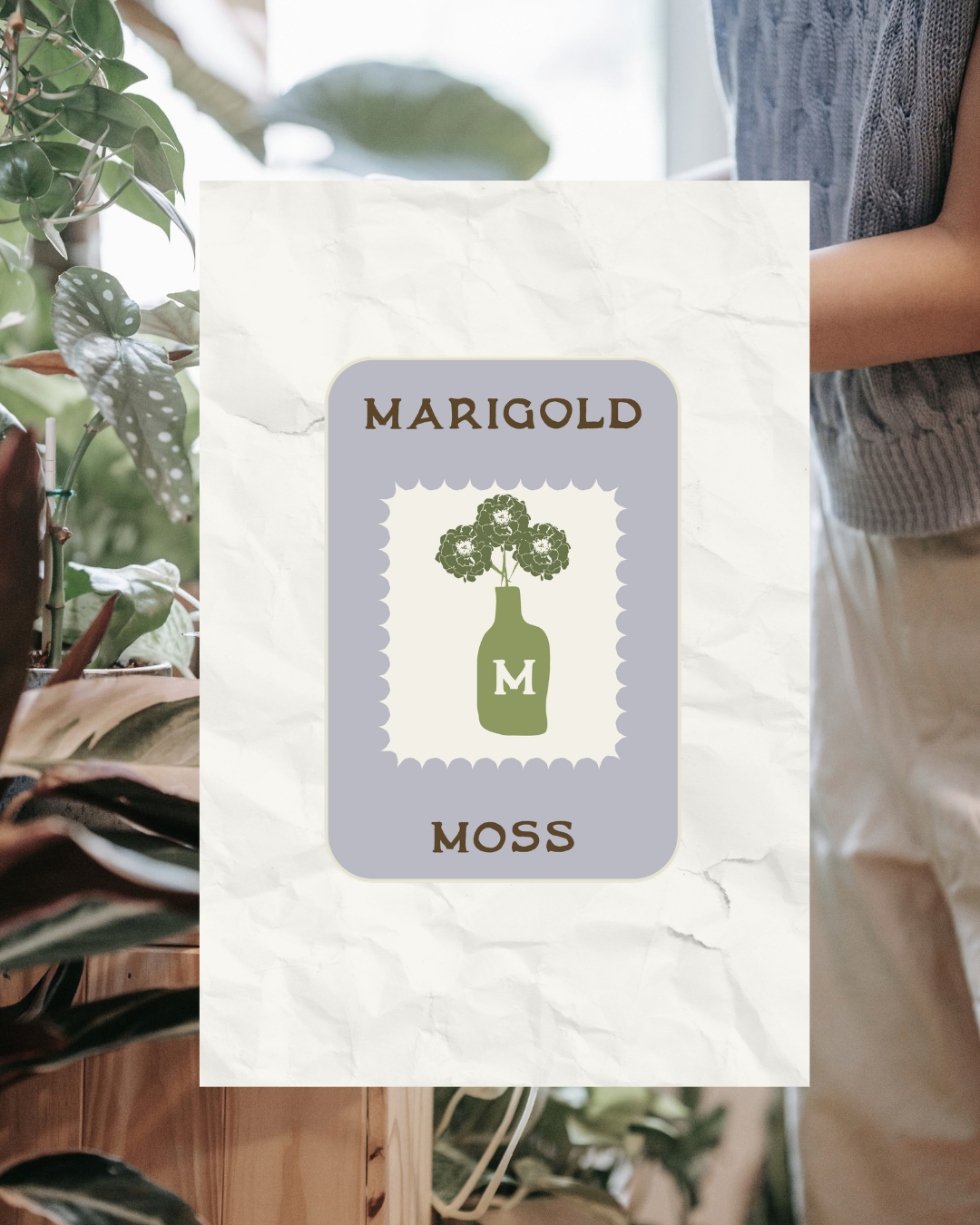 A label reading 'Marigold' and 'Moss' with an illustration of a moss plant in a vase on a crumpled paper background, surrounded by houseplants.
