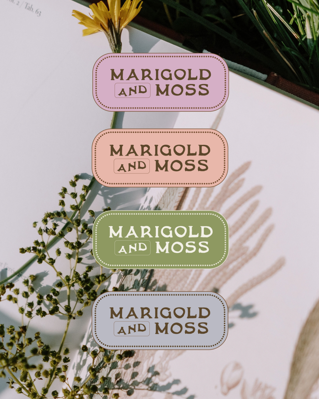 Colorful labels with different shades of pink, green, and gray, each reading "Marigold and Moss" in bold brown text, placed on a background of dried and fresh plants and flowers.