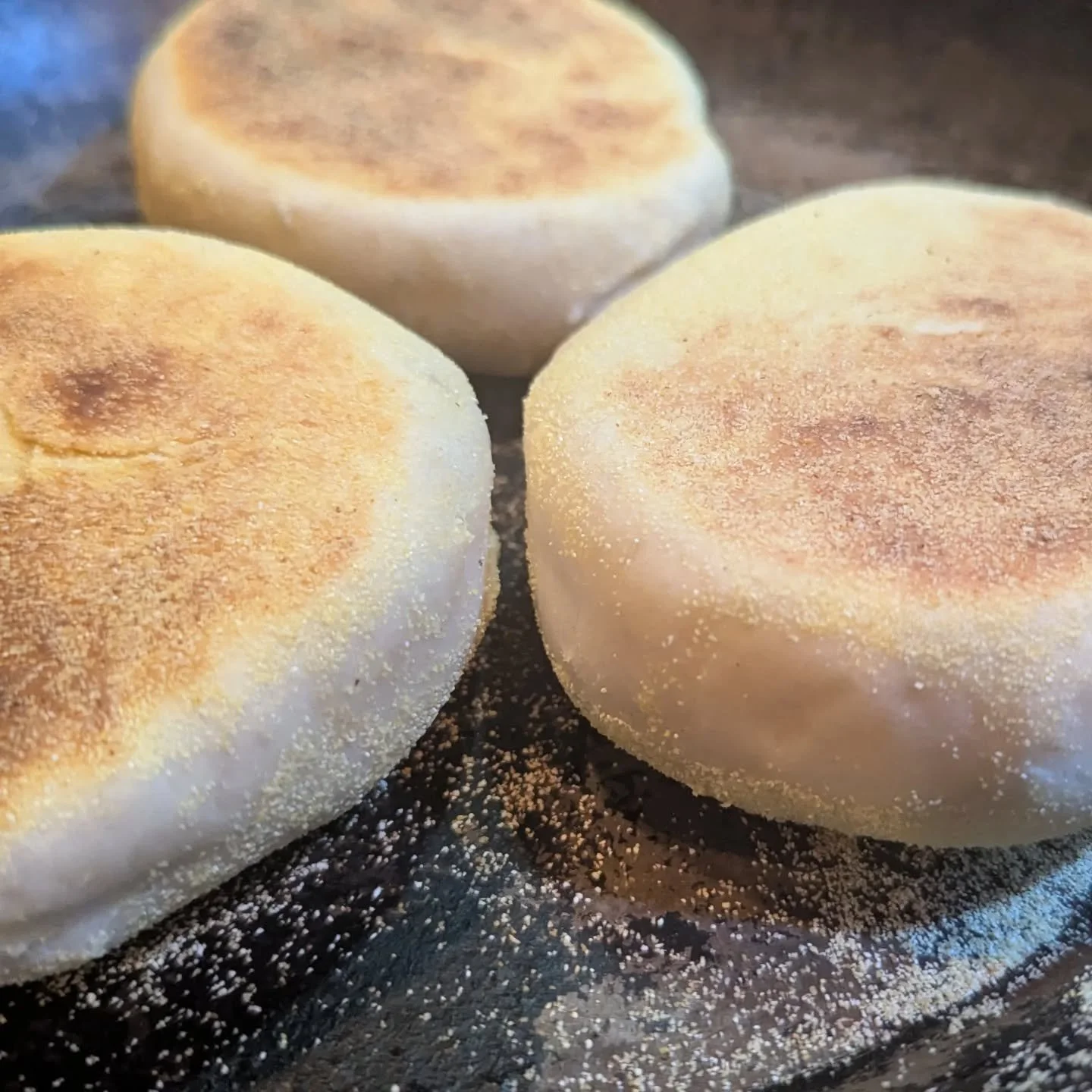 Prepping for breakfasts this week. Jumbo English muffins. I was blown away the first time I researched them that English muffins are not baked but pan cooked like a pancake.