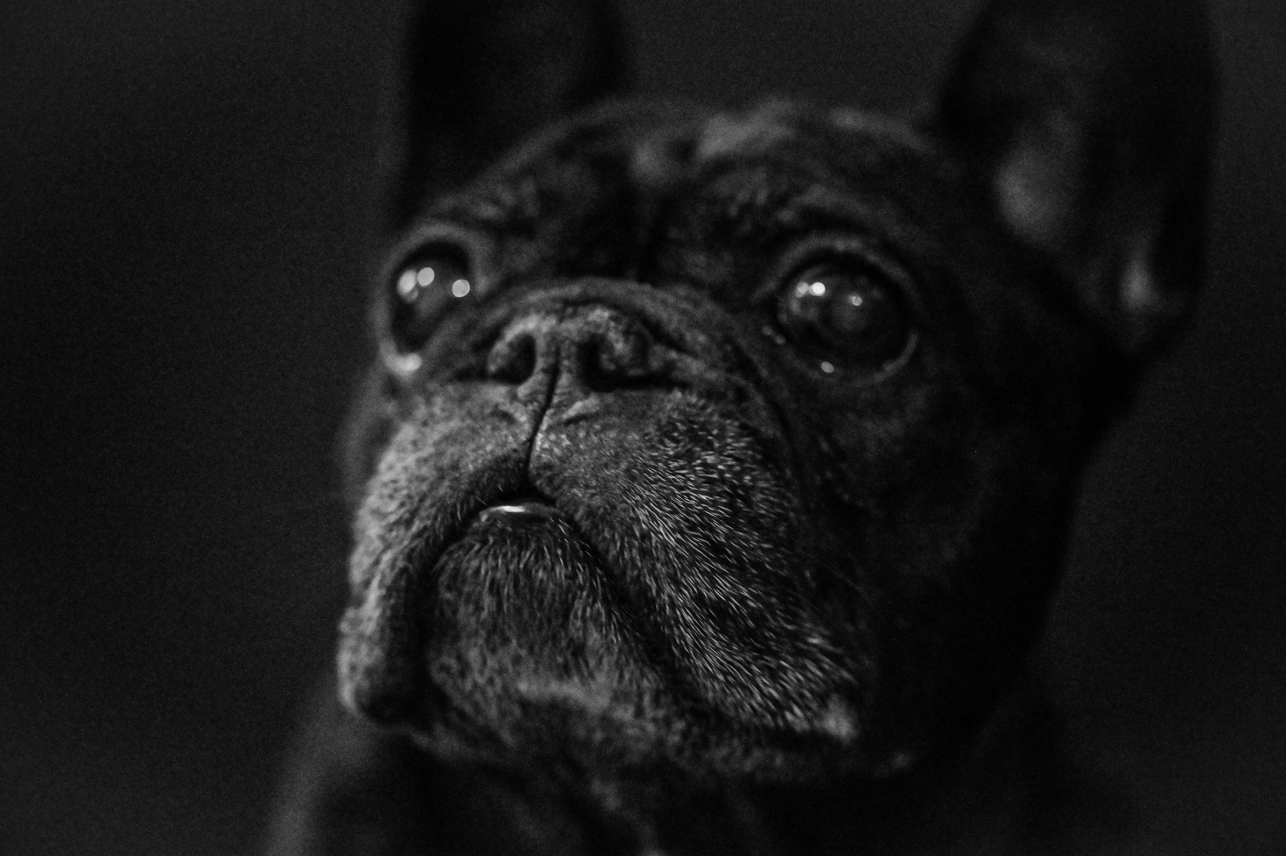 DSC_5957.jpeg