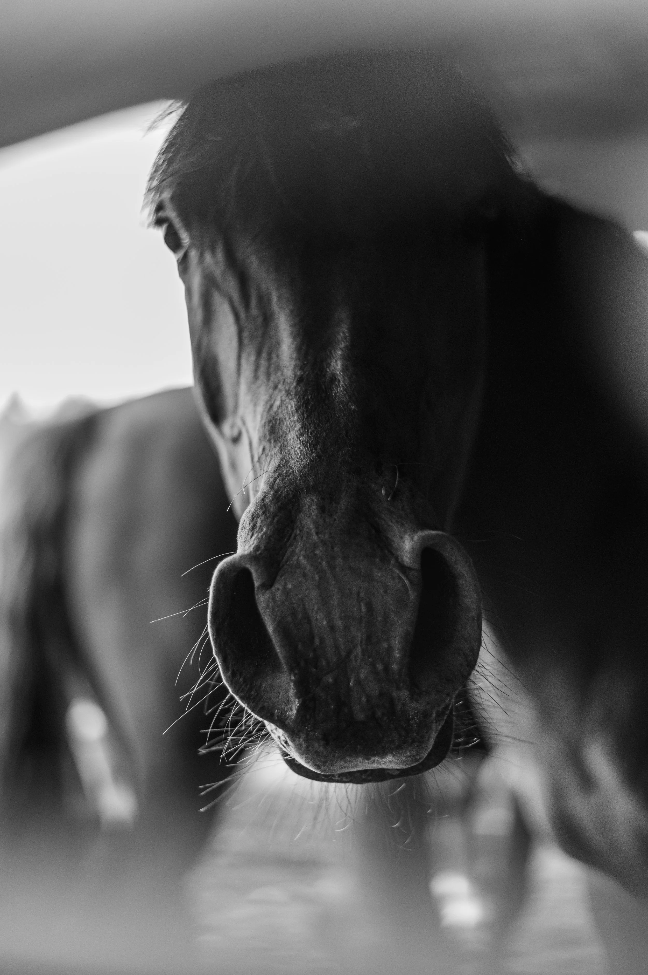 DSC_9142.jpeg