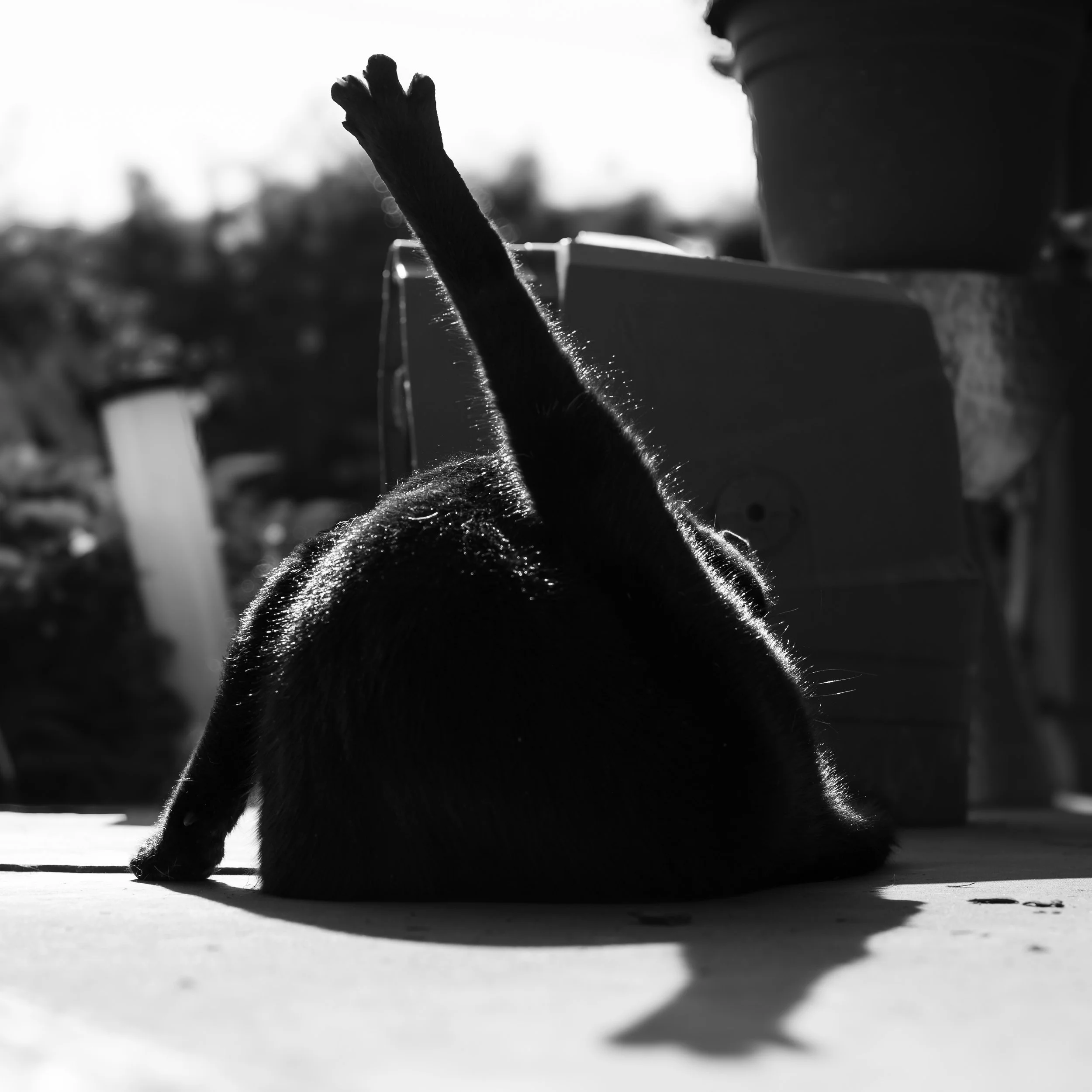 DSC_9843.jpeg