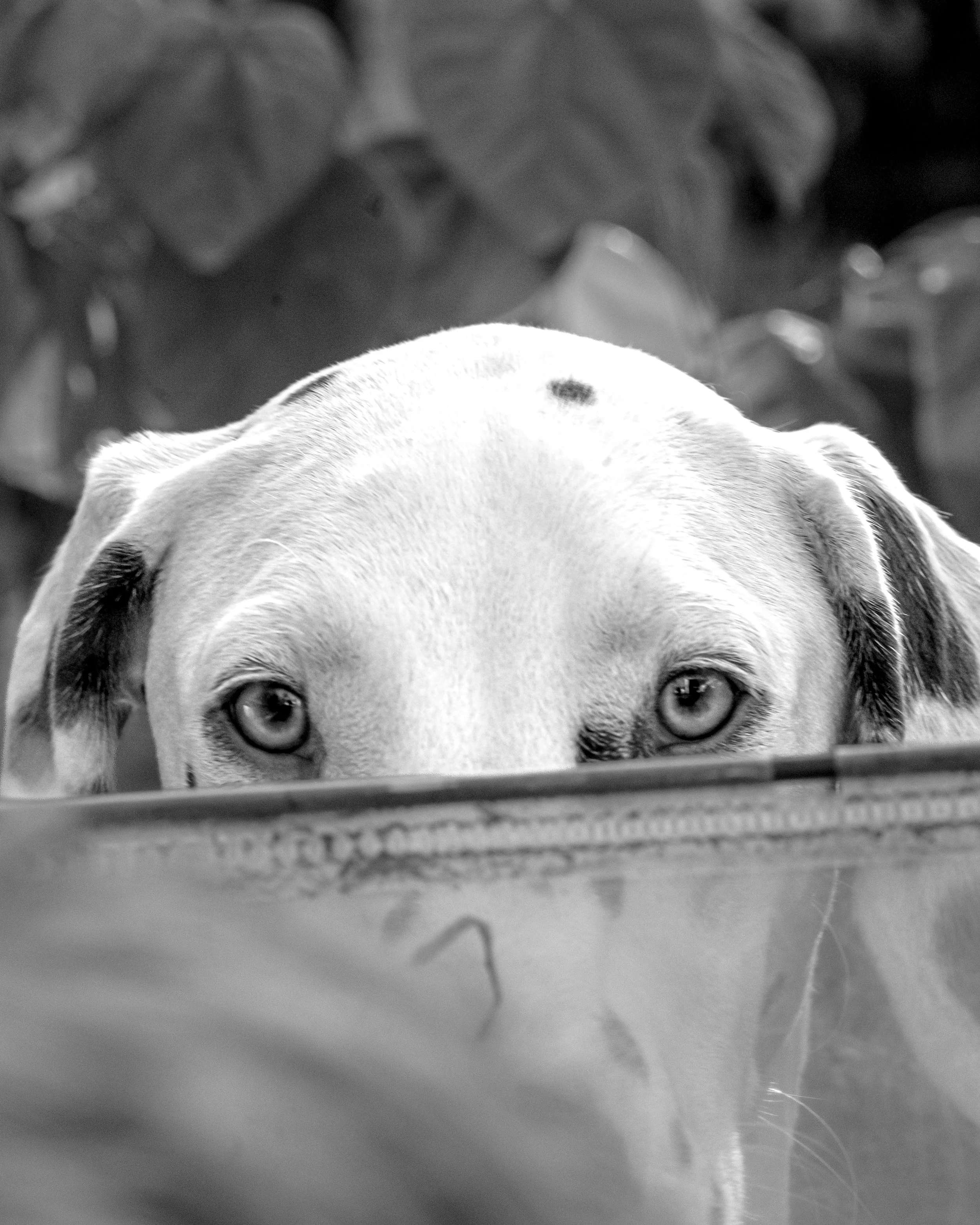 DSC_8798.jpeg