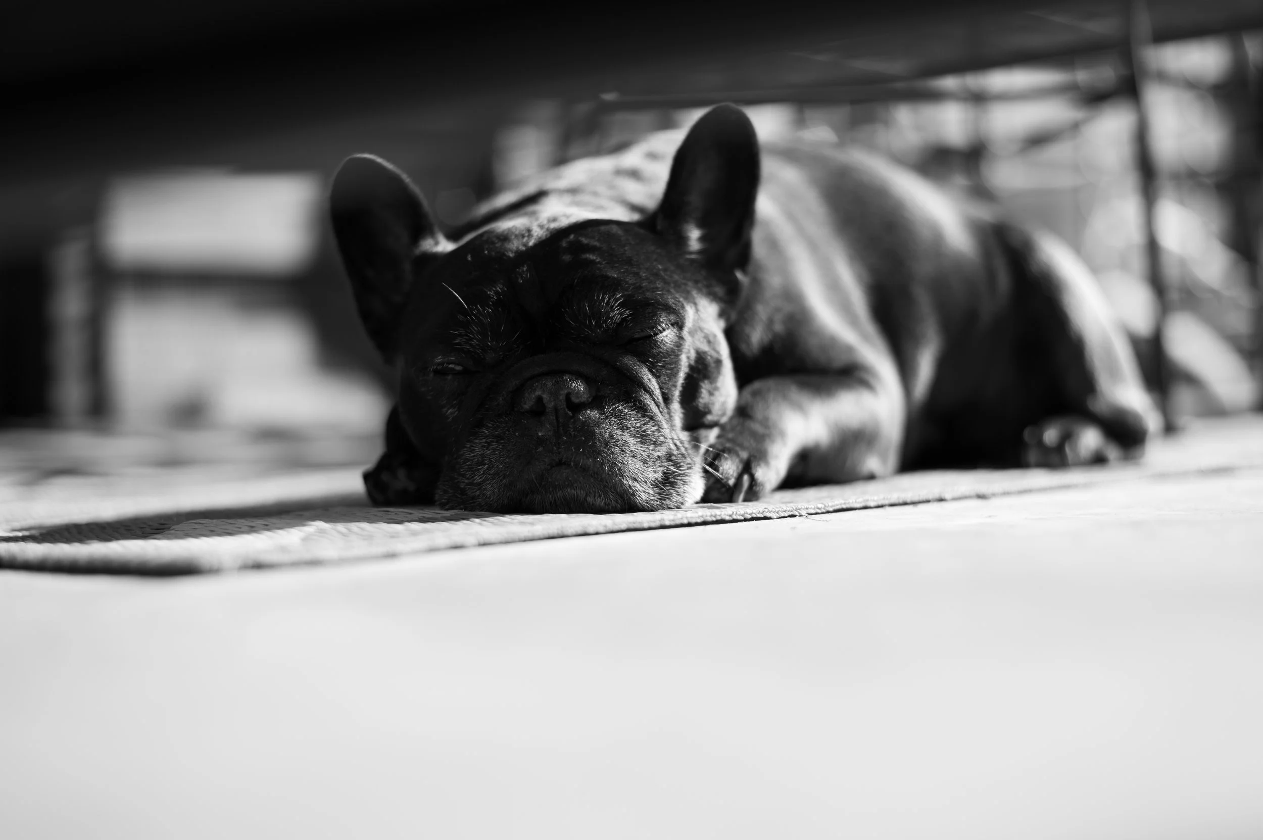 DSC_9760.jpeg
