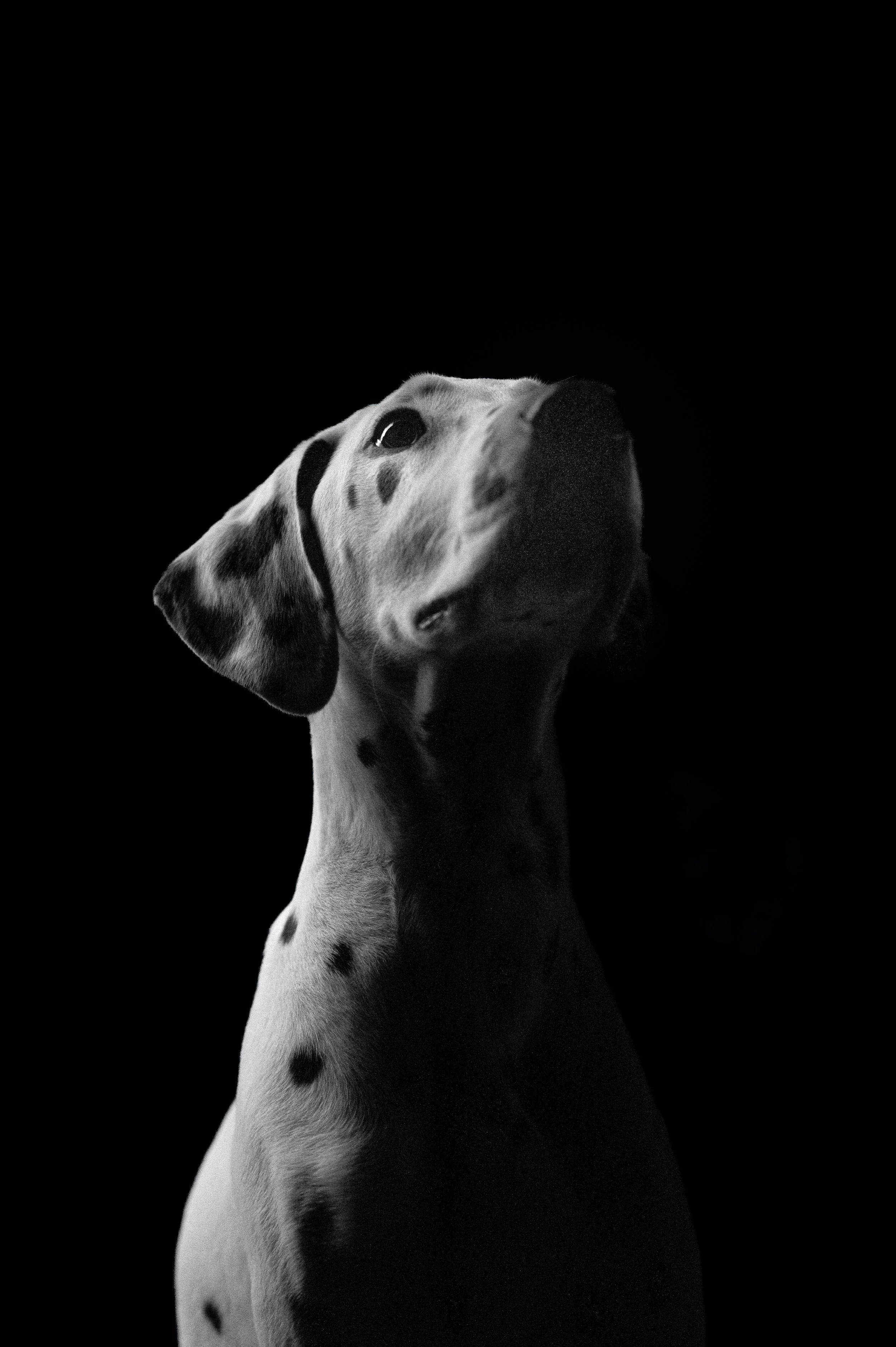 DSC_3793.jpeg