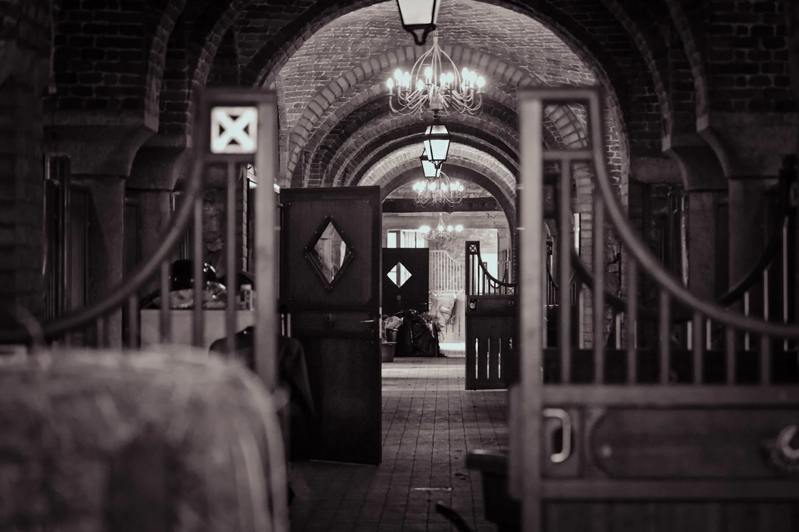 DSC_2778.jpeg