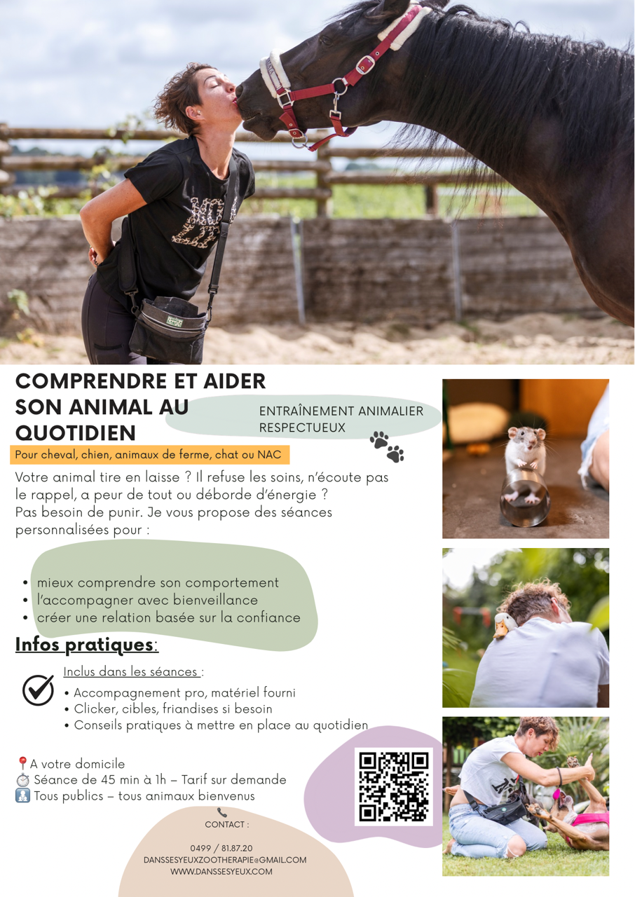 thumbnail_Entraînements .png