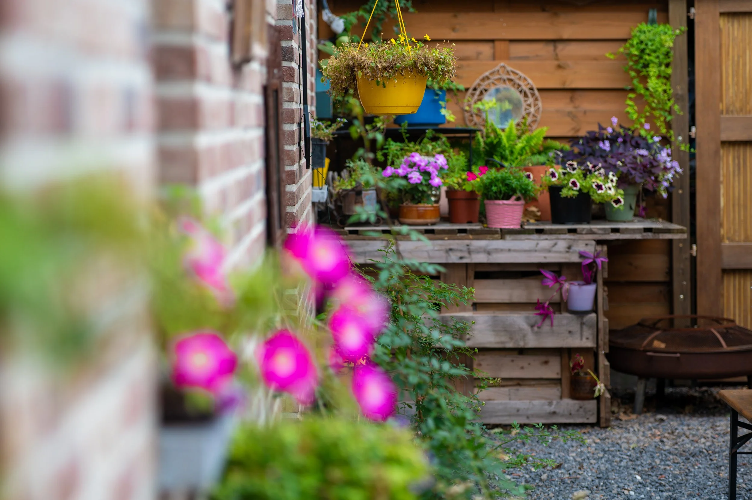 DSC_8978.jpeg